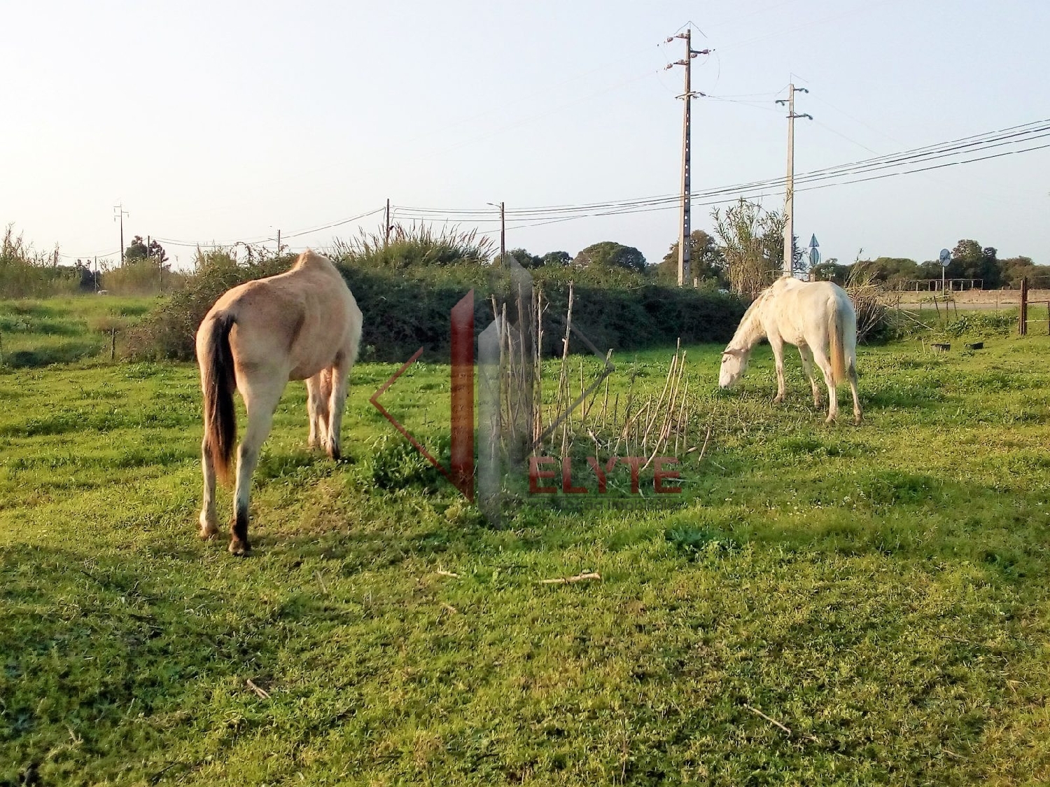  for sale terrain Benavente Benavente 1