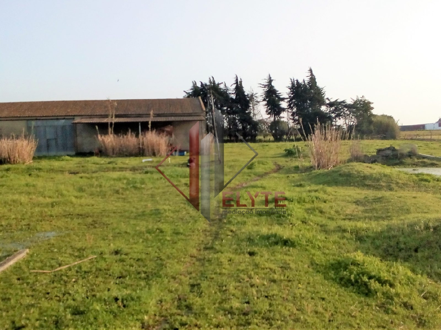 for sale terrain Benavente Benavente 2