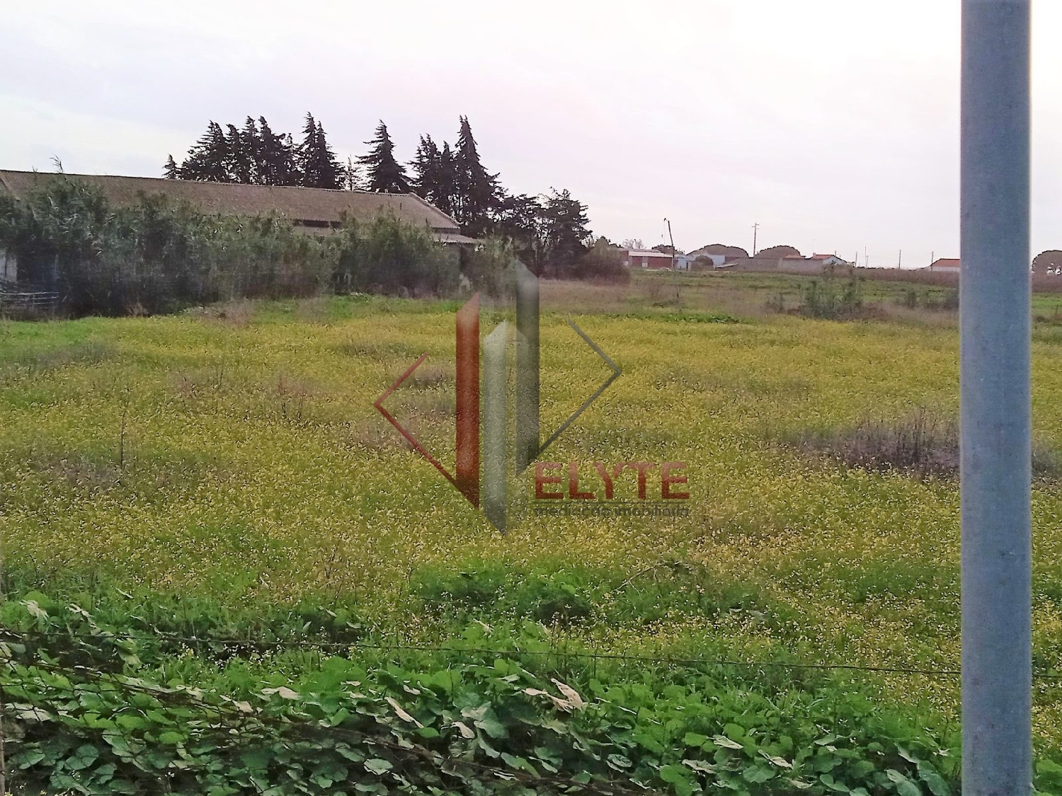 for sale terrain Benavente Benavente 3
