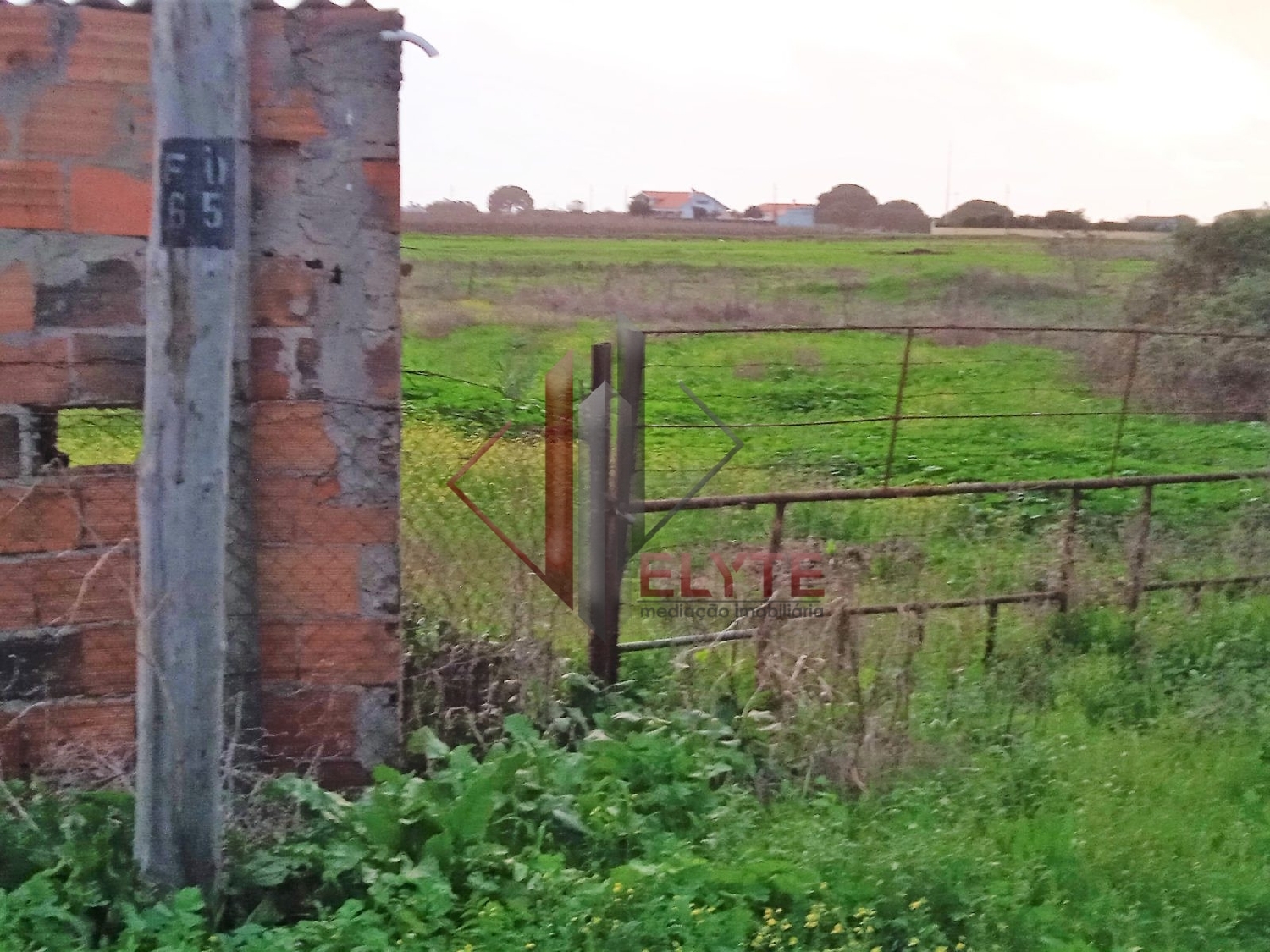  for sale terrain Benavente Benavente 4