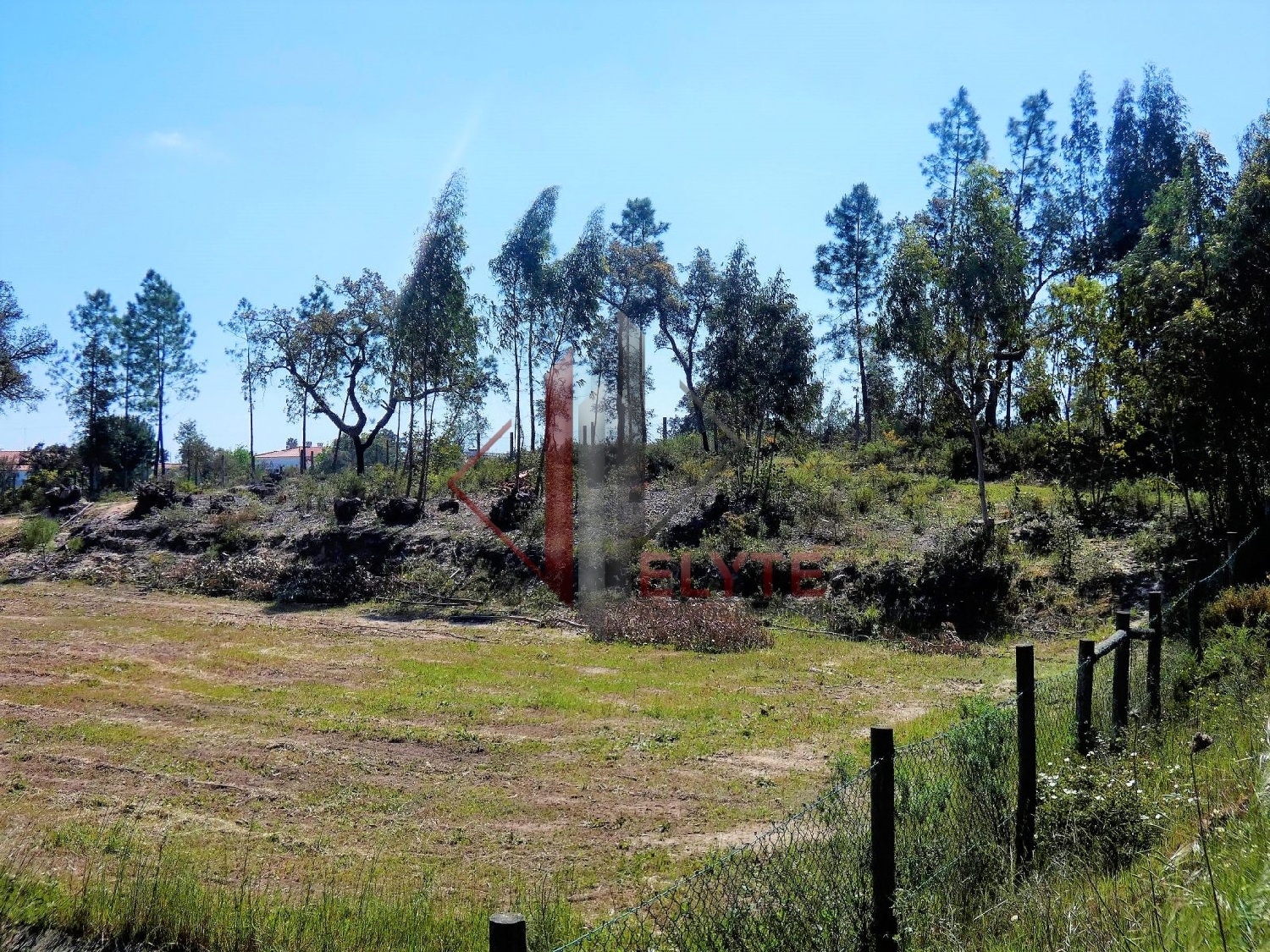  for sale terrain Branca Coruche 1