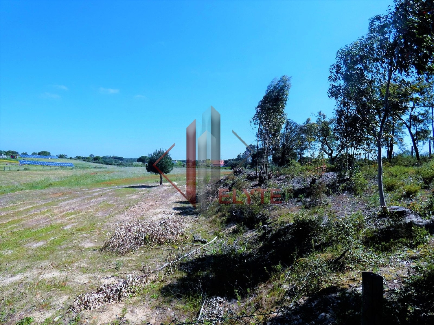 for sale terrain Branca Coruche 2