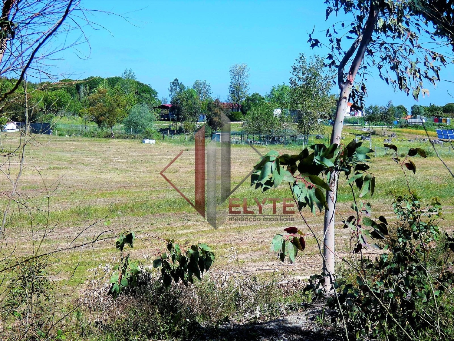  for sale terrain Branca Coruche 5