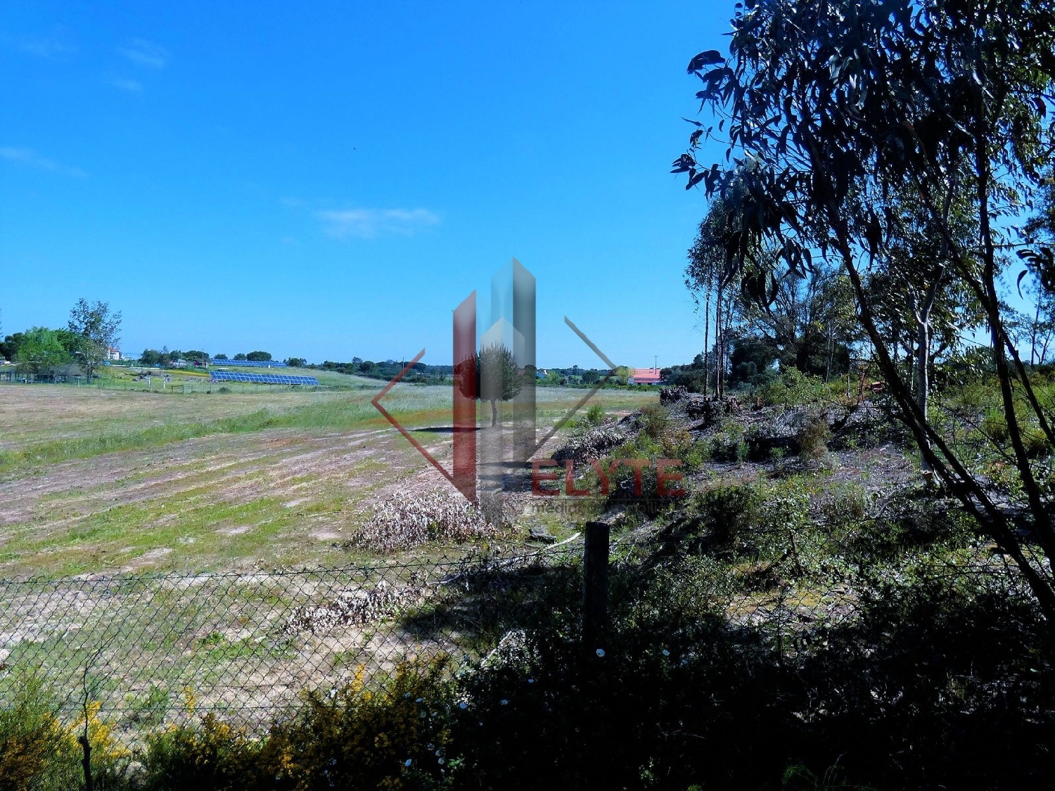  for sale terrain Branca Coruche 6