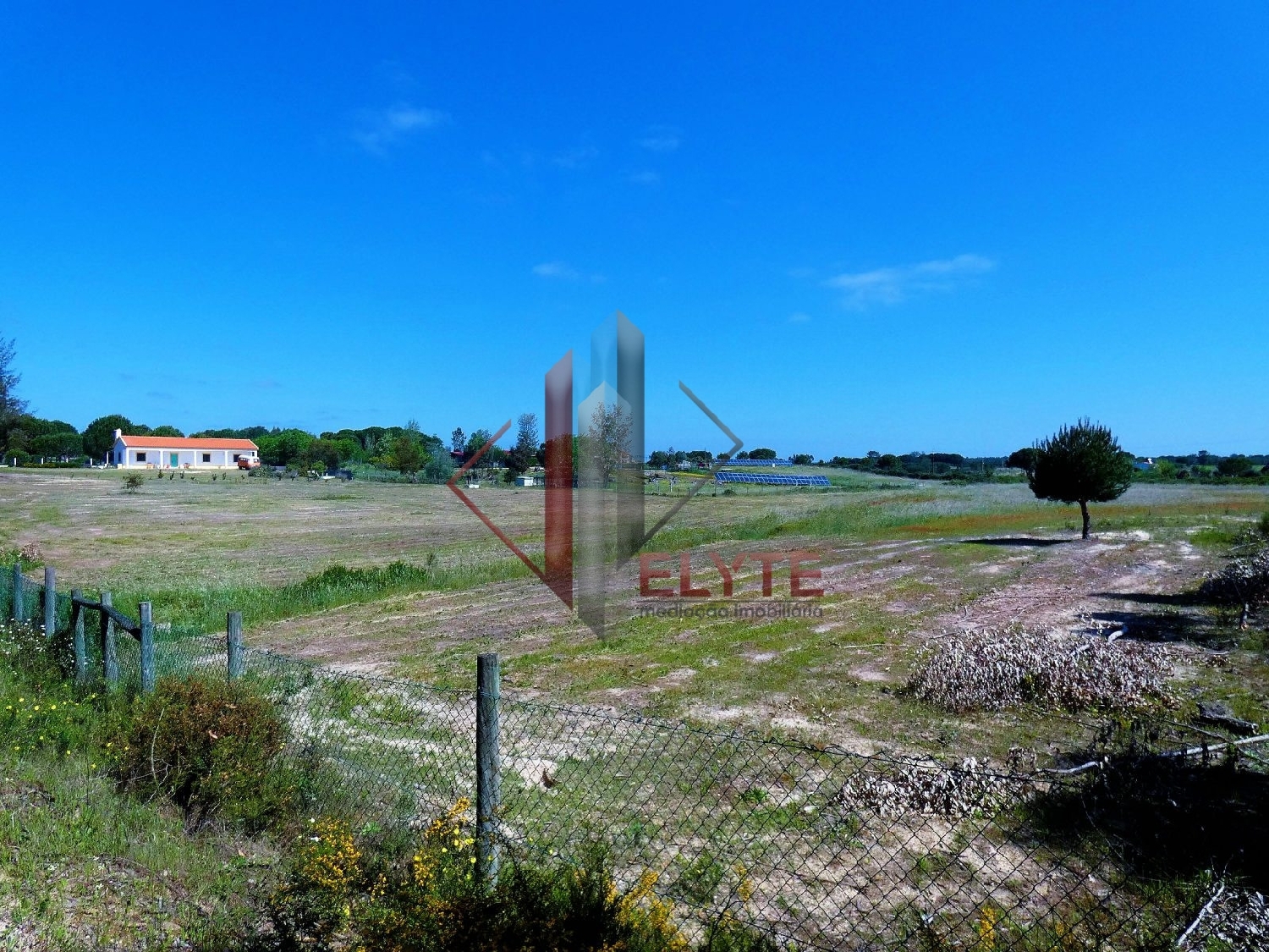  for sale terrain Branca Coruche 7
