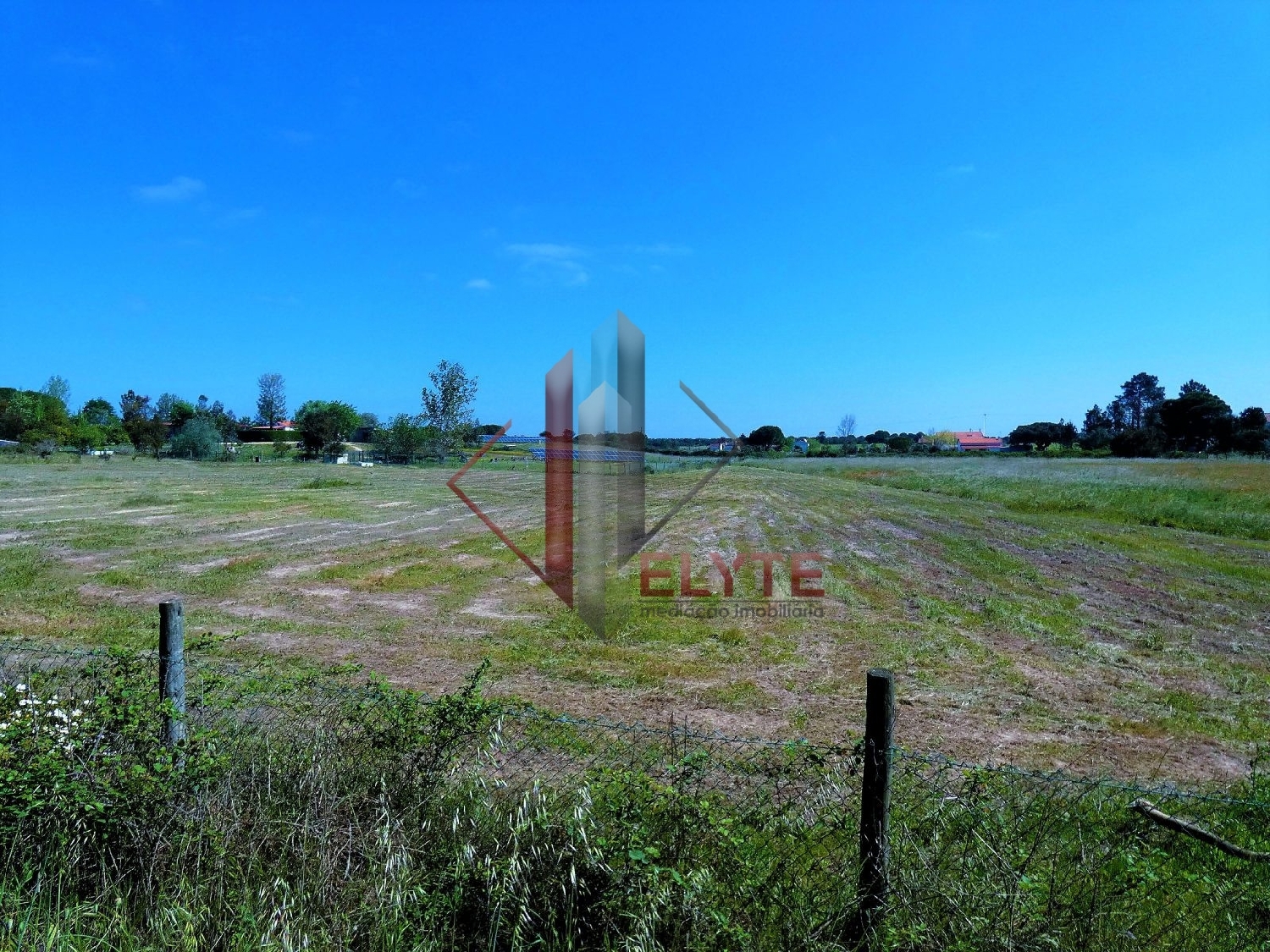  for sale terrain Branca Coruche 8