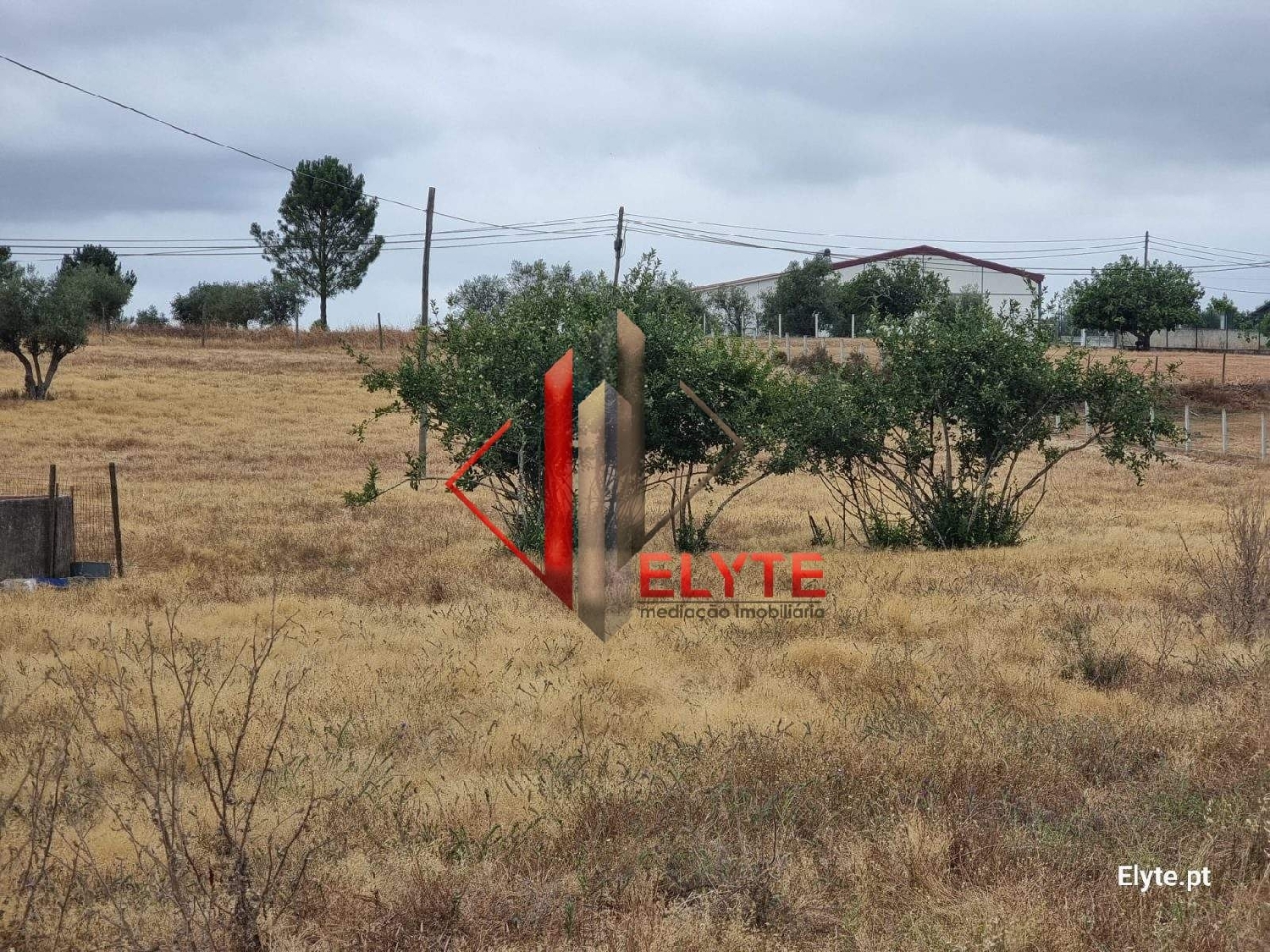  for sale terrain Branca Coruche 1