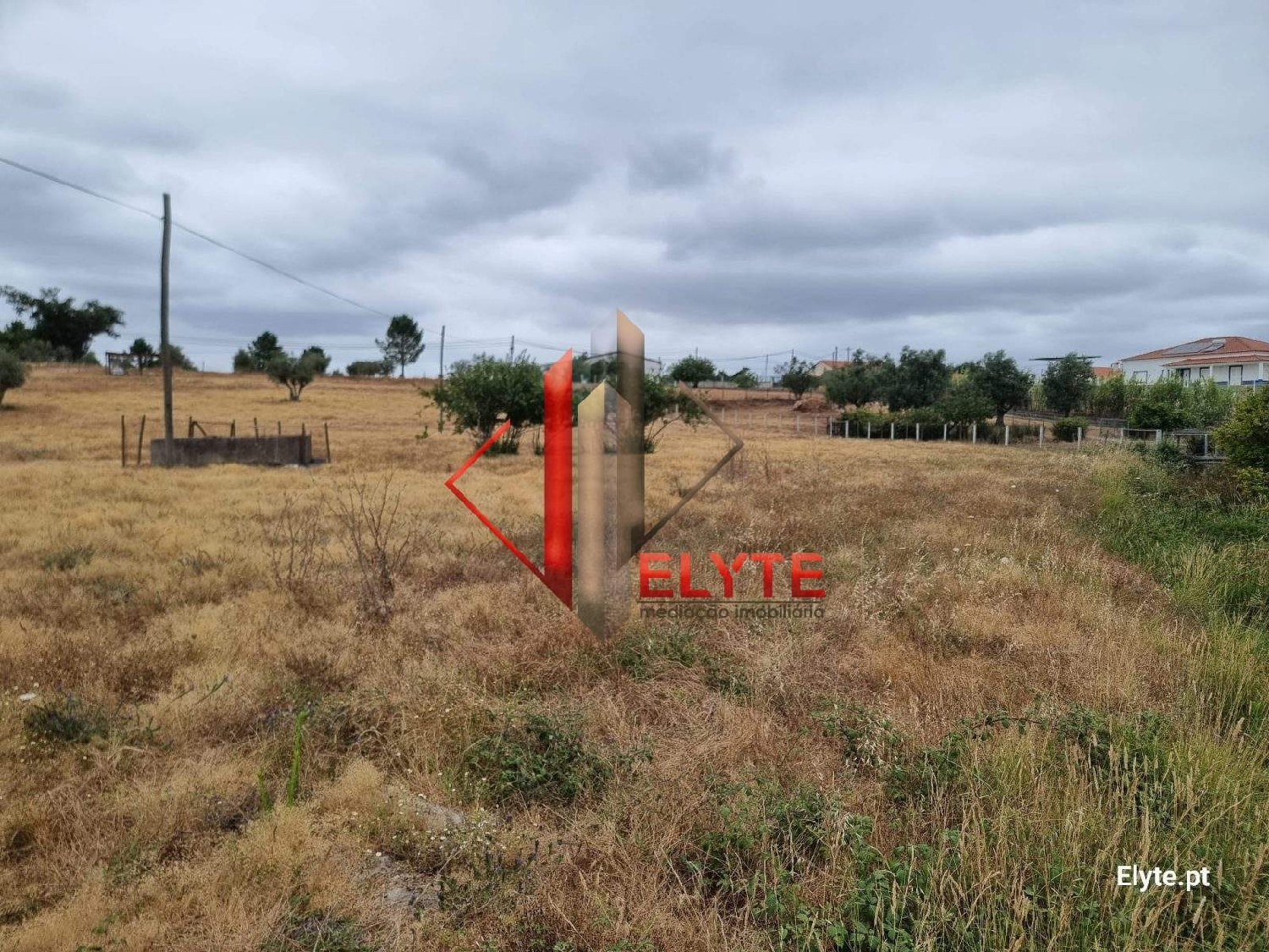 for sale terrain Branca Coruche 2