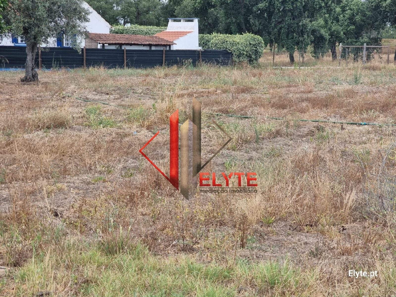 for sale terrain Branca Coruche 3