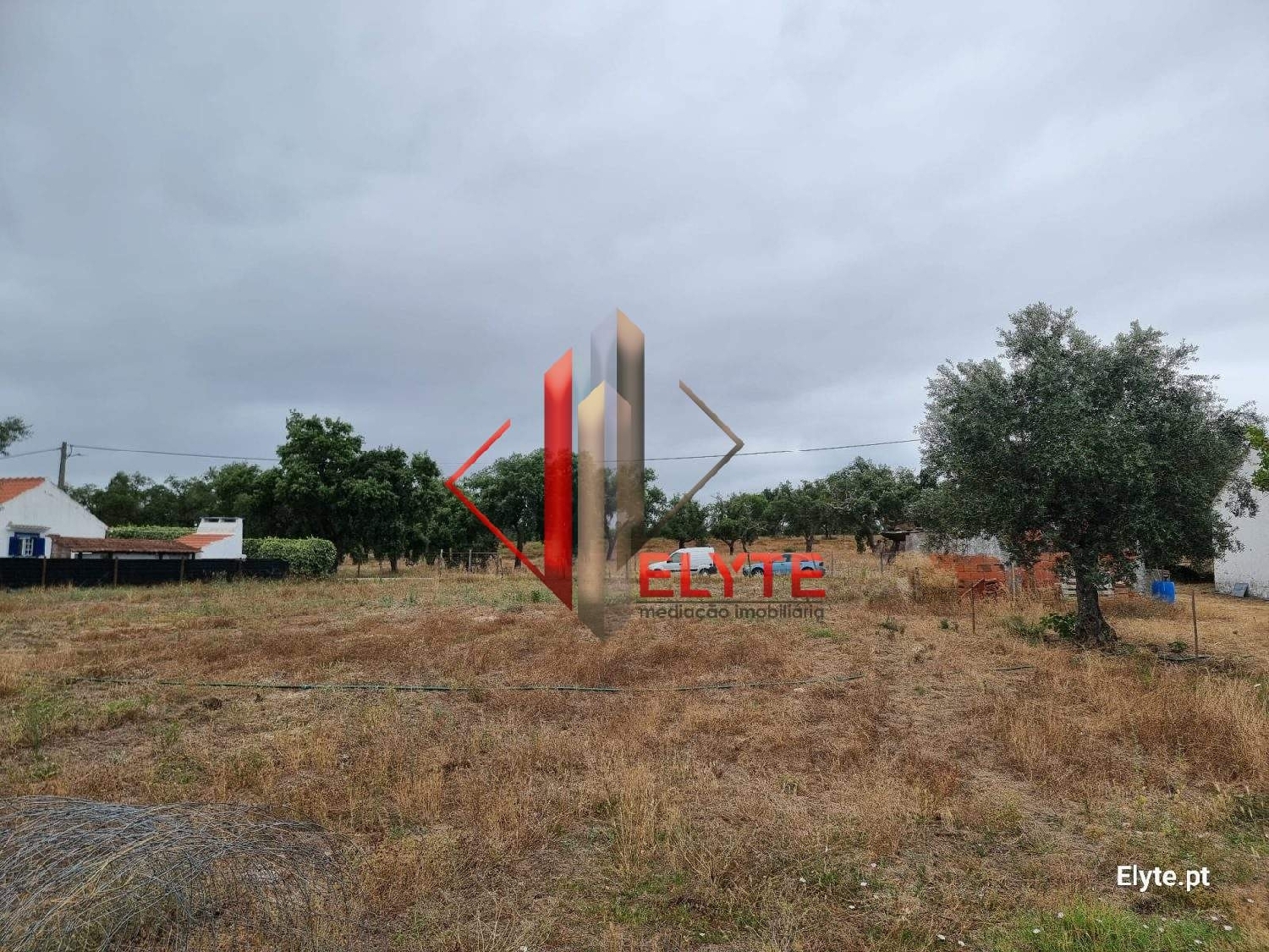  for sale terrain Branca Coruche 4