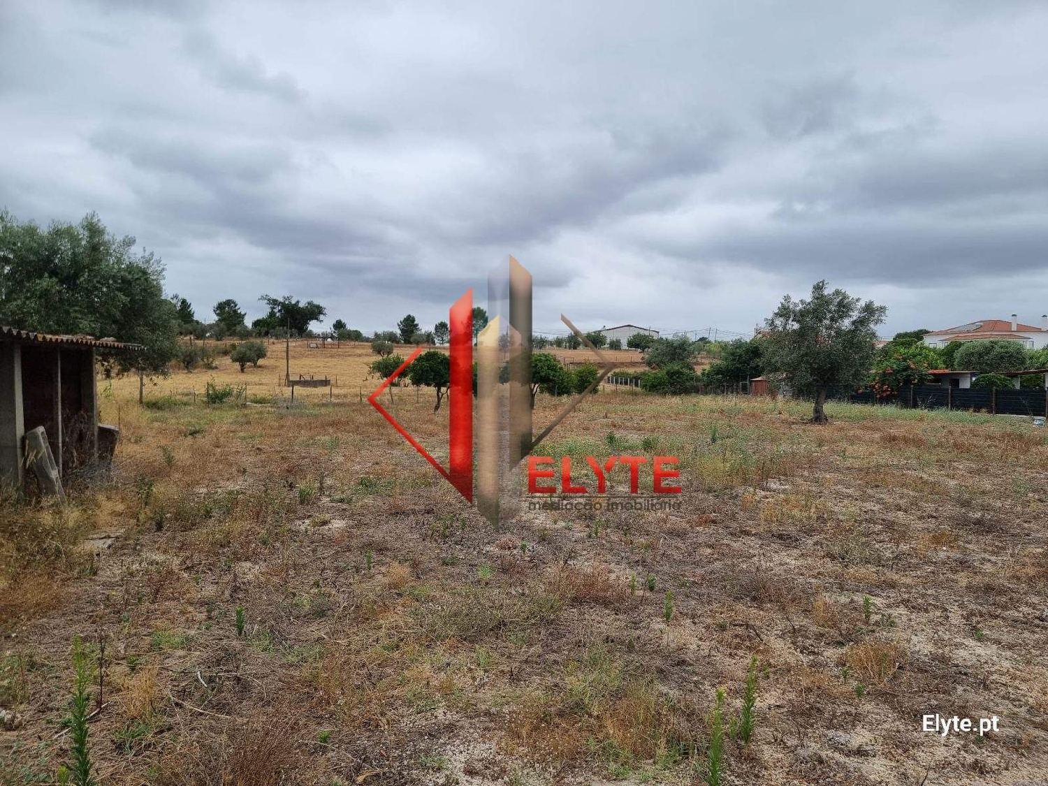  for sale terrain Branca Coruche 5