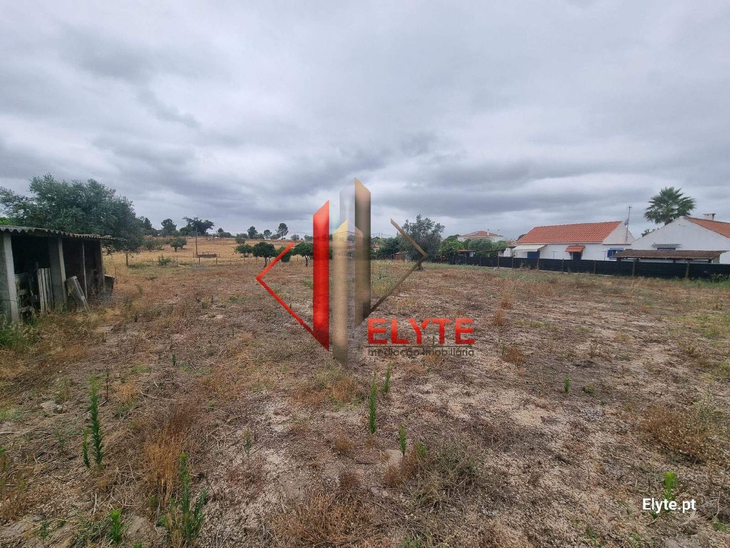  for sale terrain Branca Coruche 6