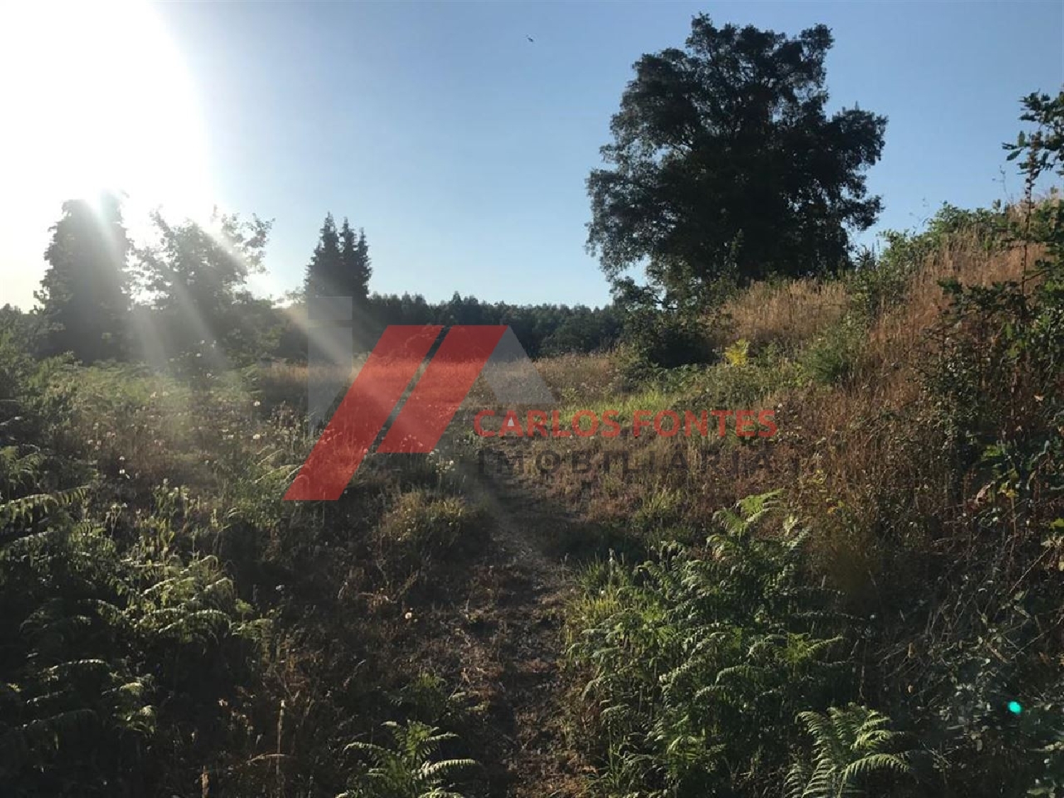  te koop terrein Burgães Santo Tirso 3