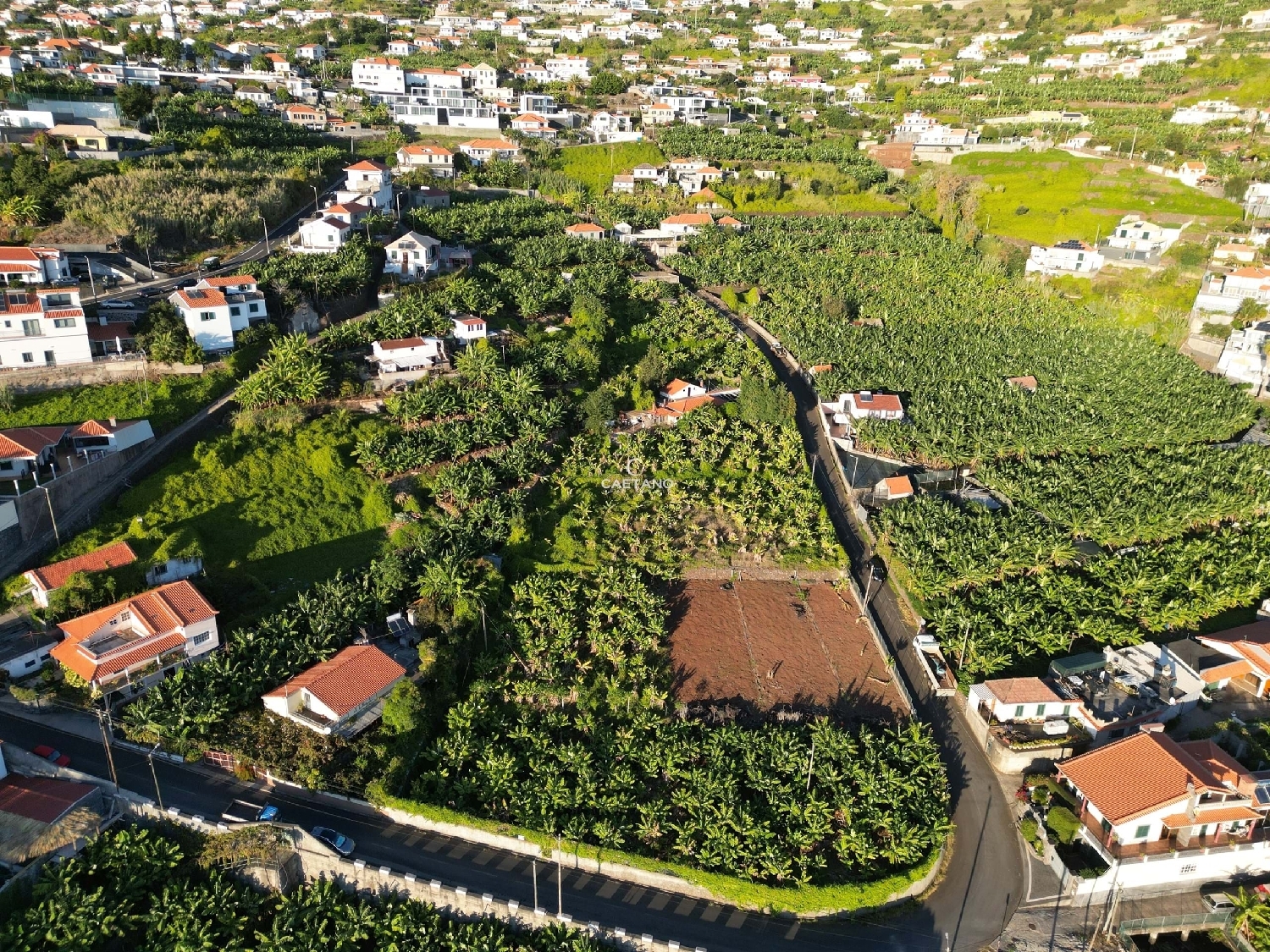  kaufen Grundstück Calheta Calheta (Madeira) 5