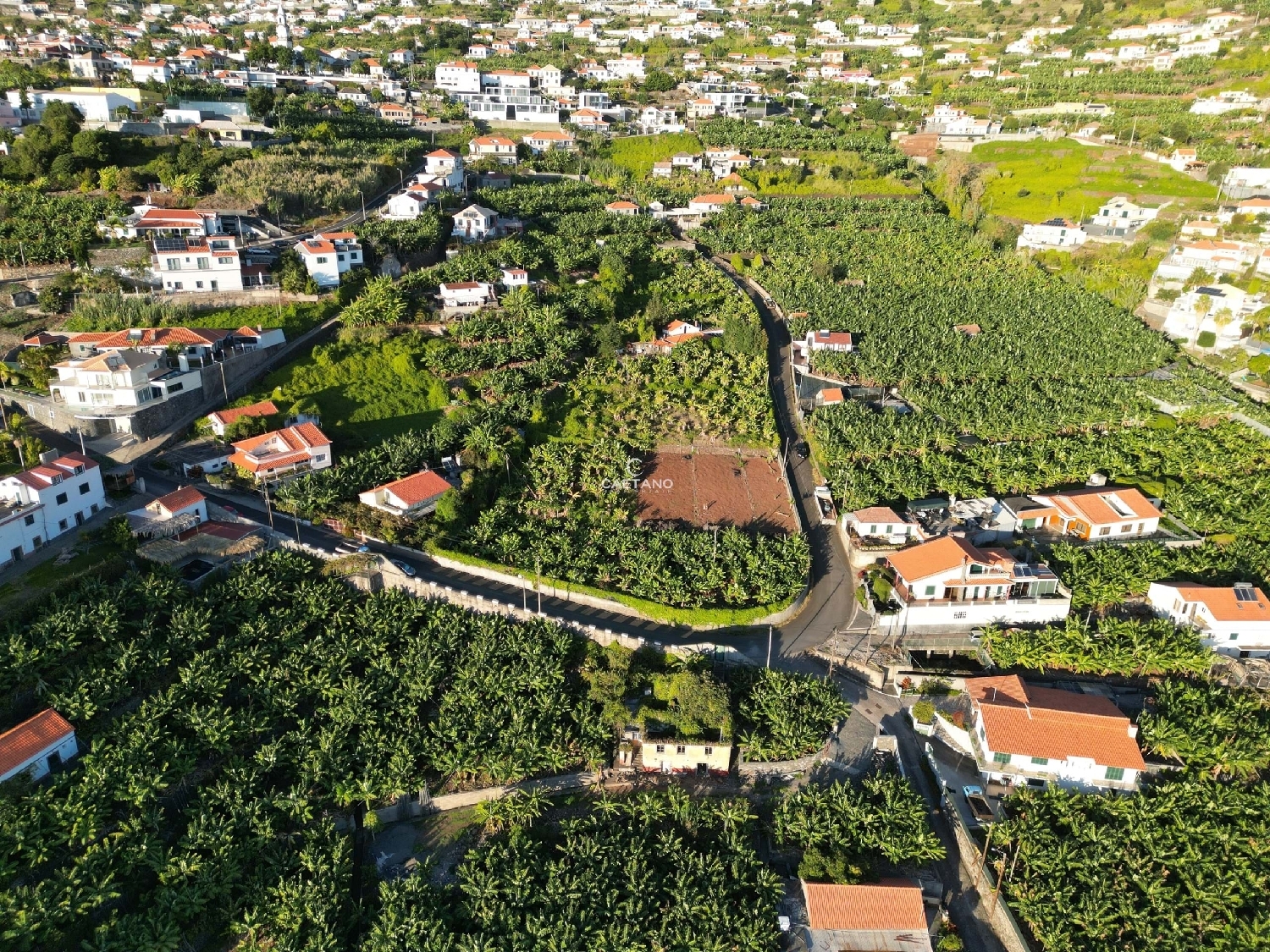  kaufen Grundstück Calheta Calheta (Madeira) 7