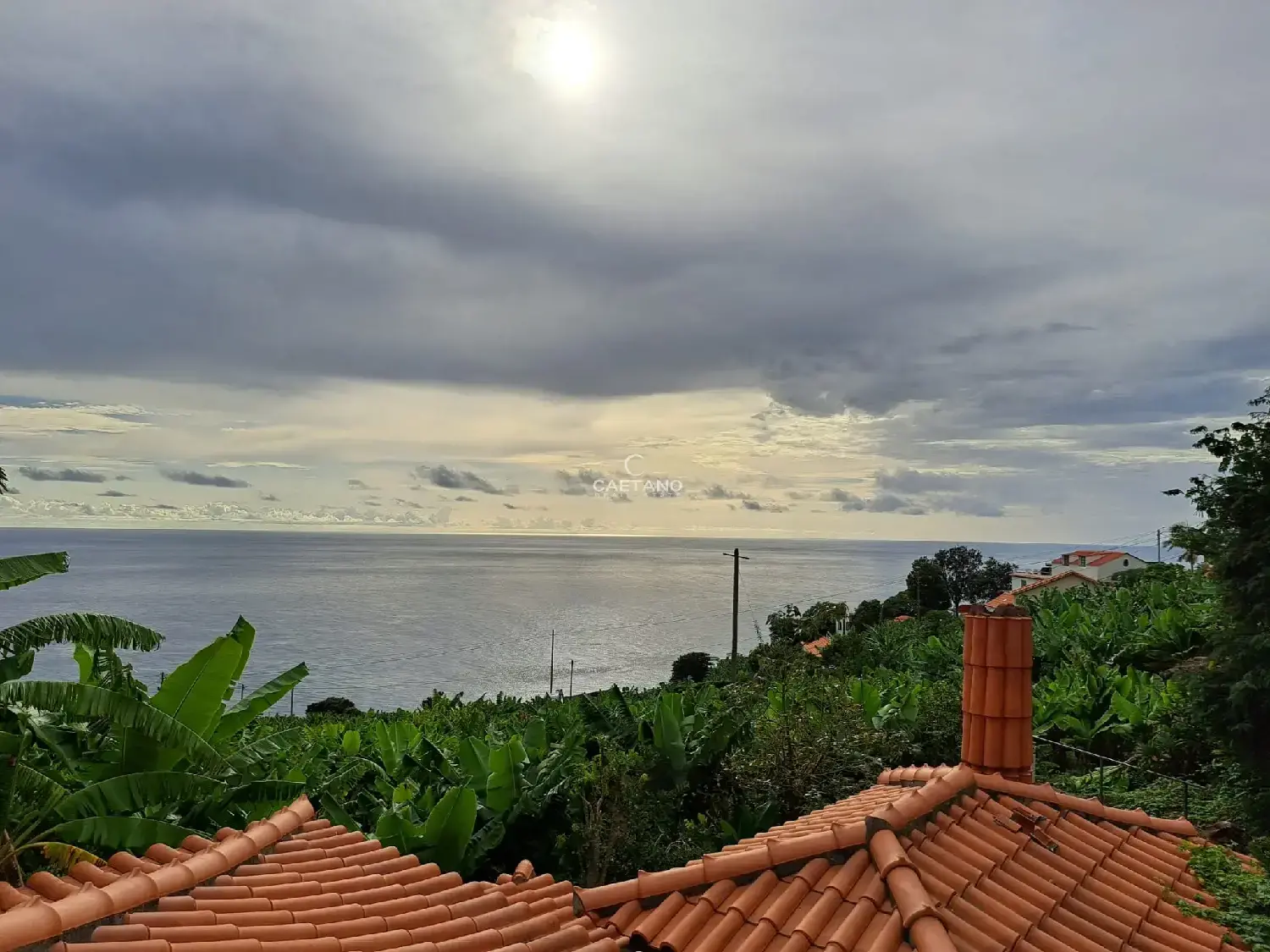  kaufen Grundstück Calheta Calheta (Madeira) 8