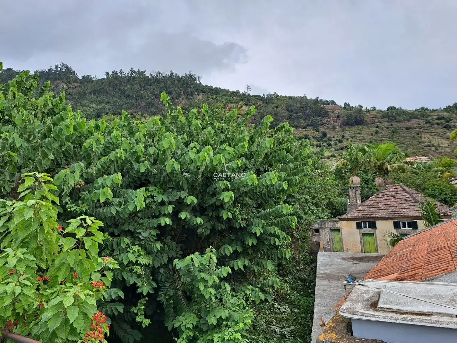  kaufen Grundstück Calheta Calheta (Madeira) 3