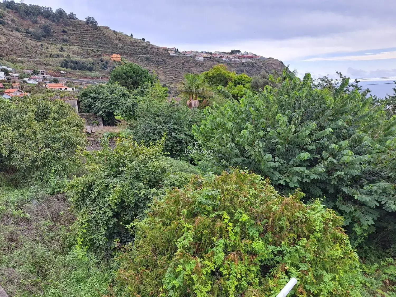  kaufen Grundstück Calheta Calheta (Madeira) 2