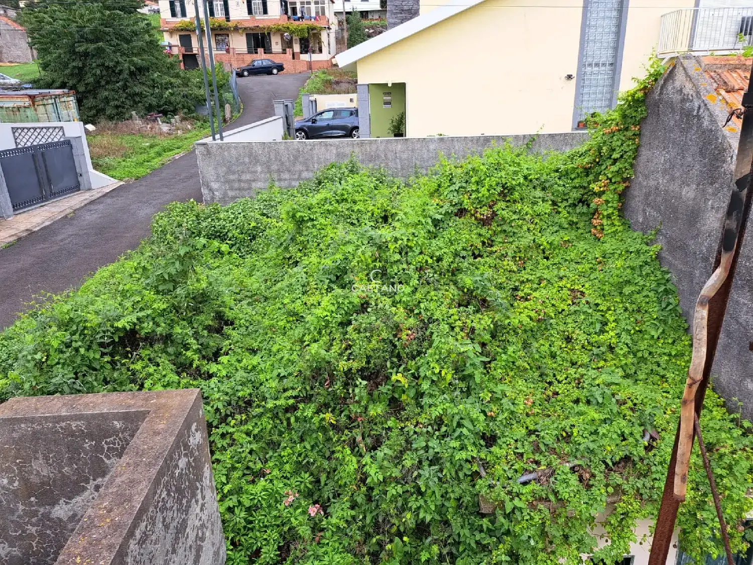  kaufen Grundstück Calheta Calheta (Madeira) 4