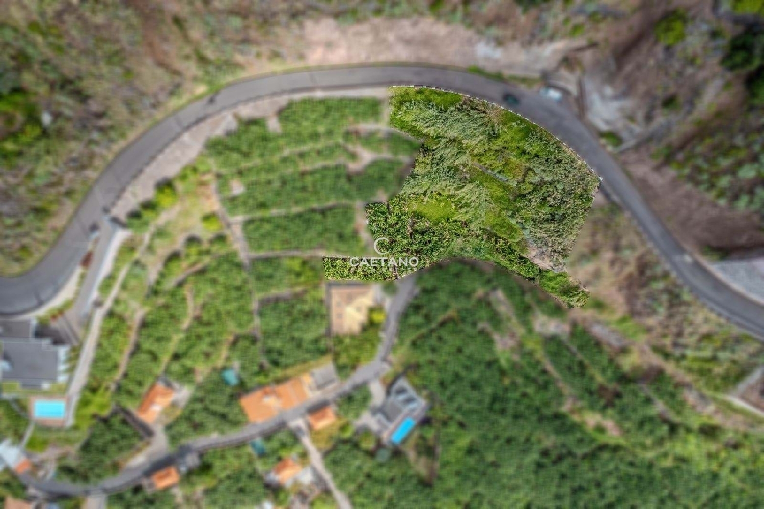  kaufen Grundstück Calheta Calheta (Madeira) 6