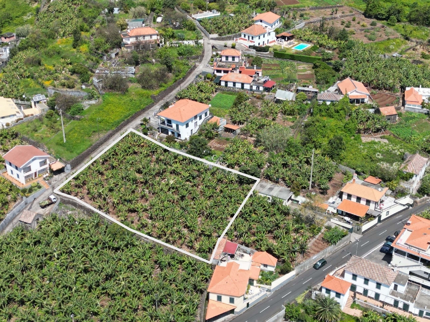  à venda terreno Calheta Calheta (Madeira) 4