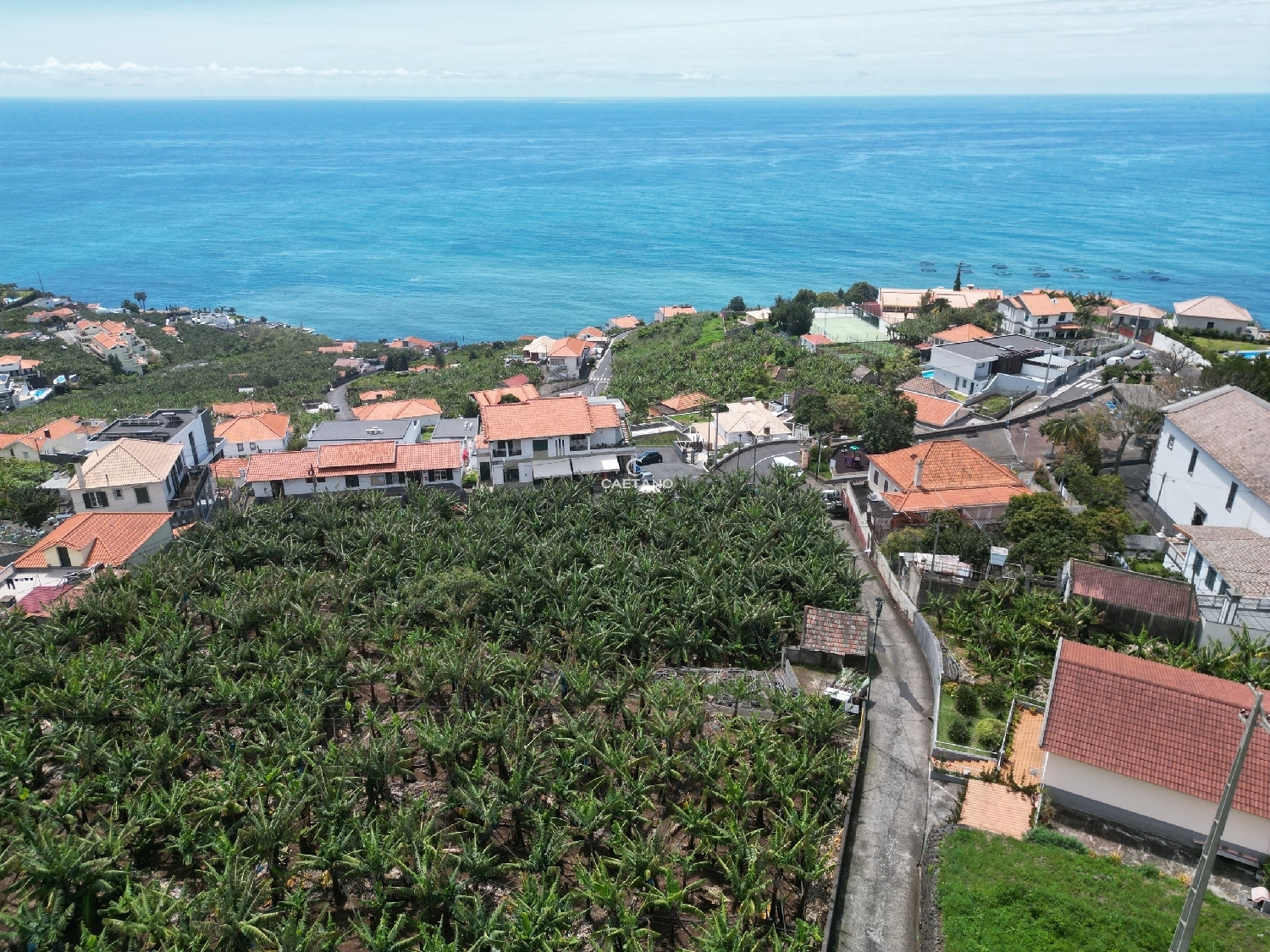  à venda terreno Calheta Calheta (Madeira) 7
