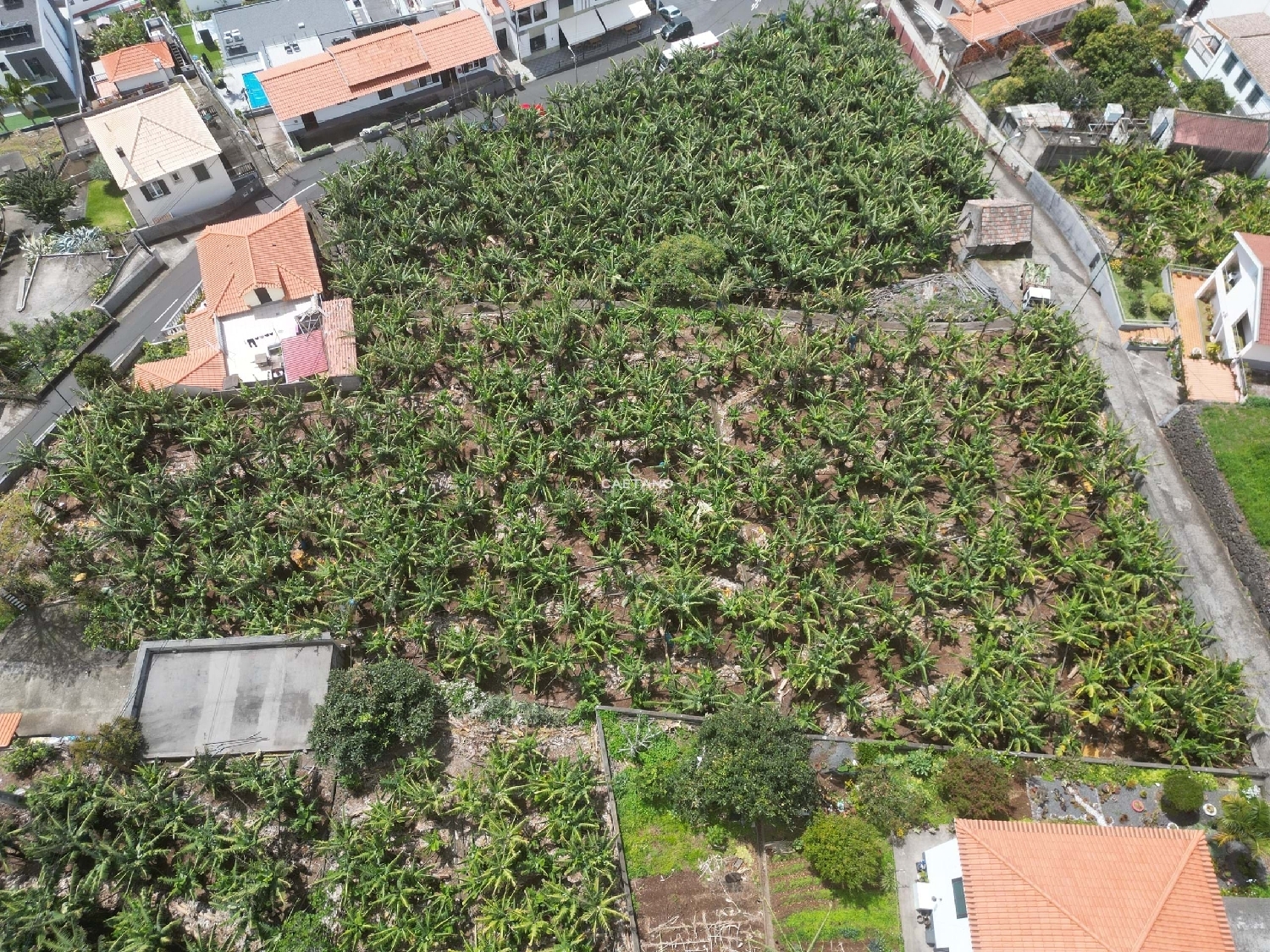  à venda terreno Calheta Calheta (Madeira) 8