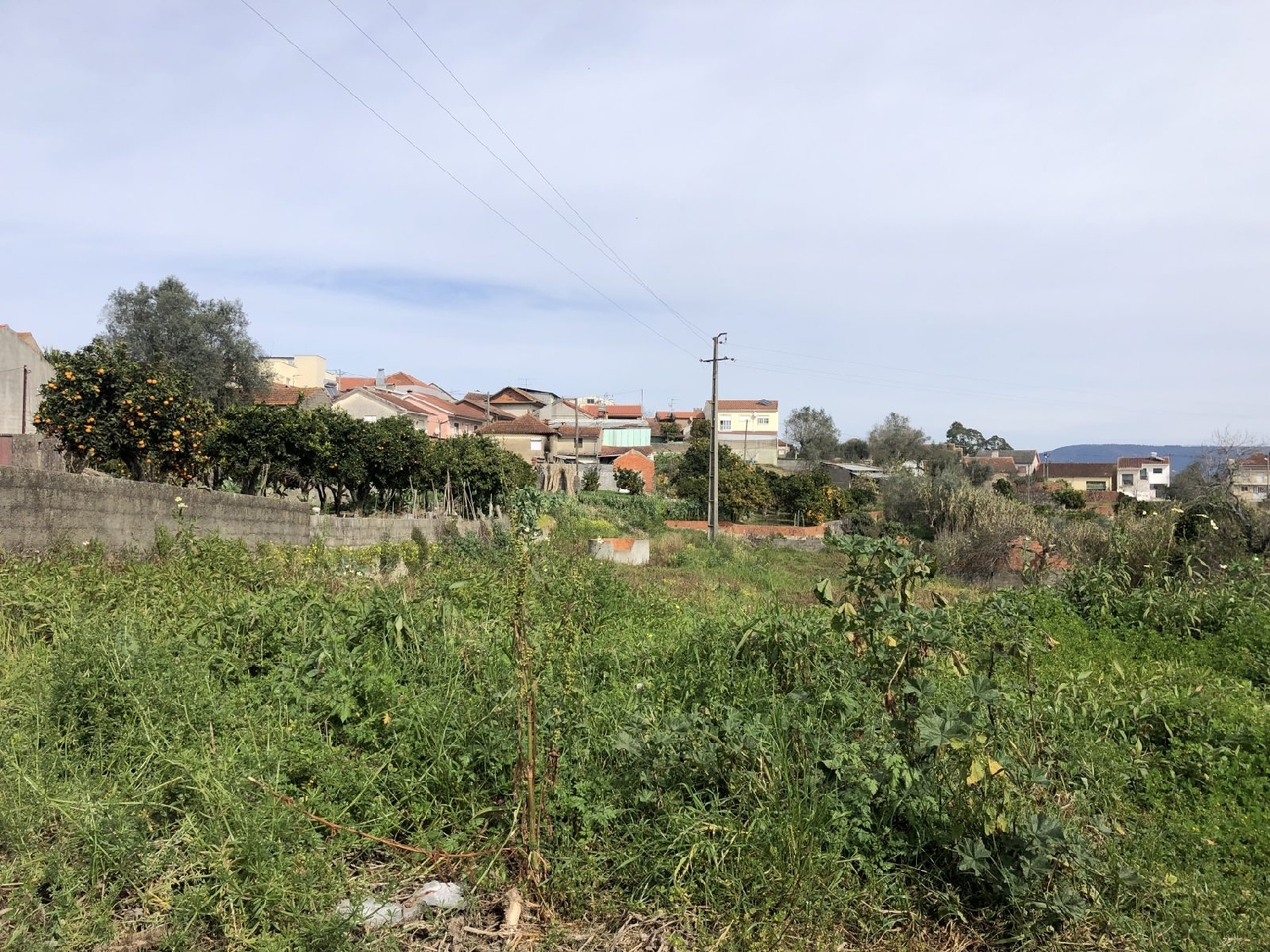  à venda terreno Casal Comba Mealhada 1