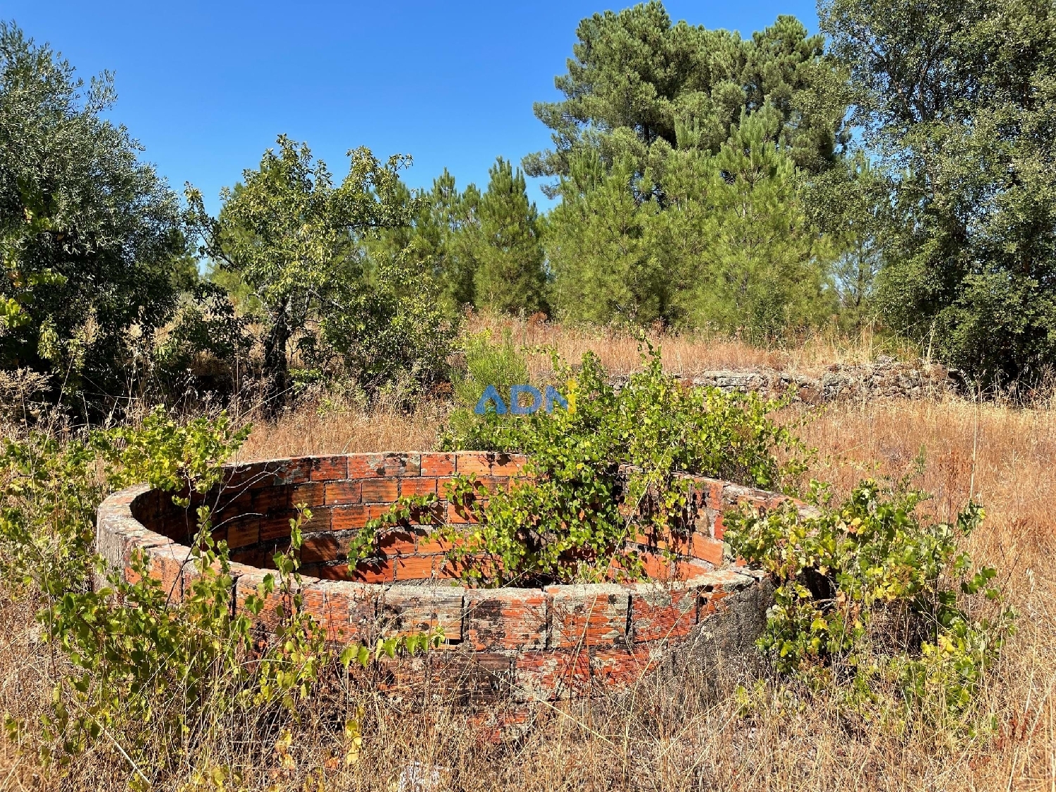  te koop terrein Castelo Branco Castelo Branco 2
