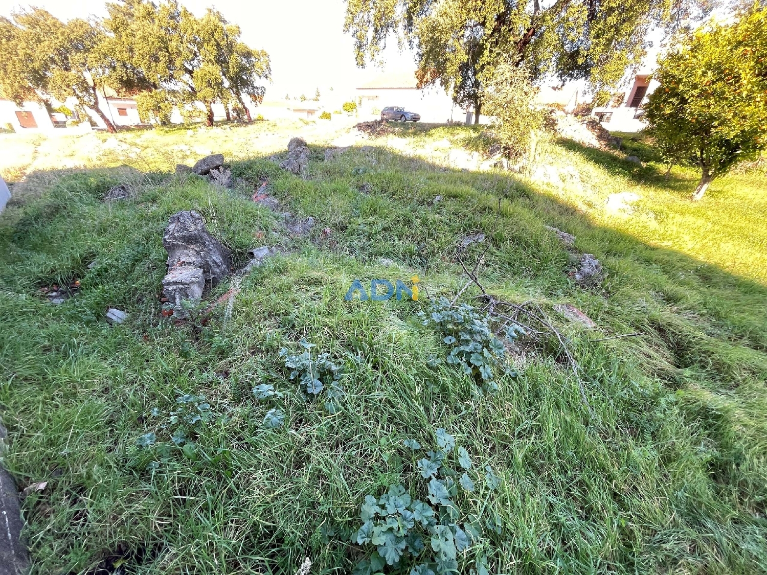  te koop terrein Castelo Branco Castelo Branco 6