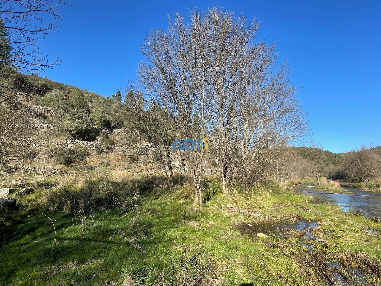  à vendre terrain Castelo Branco Castelo Branco 1