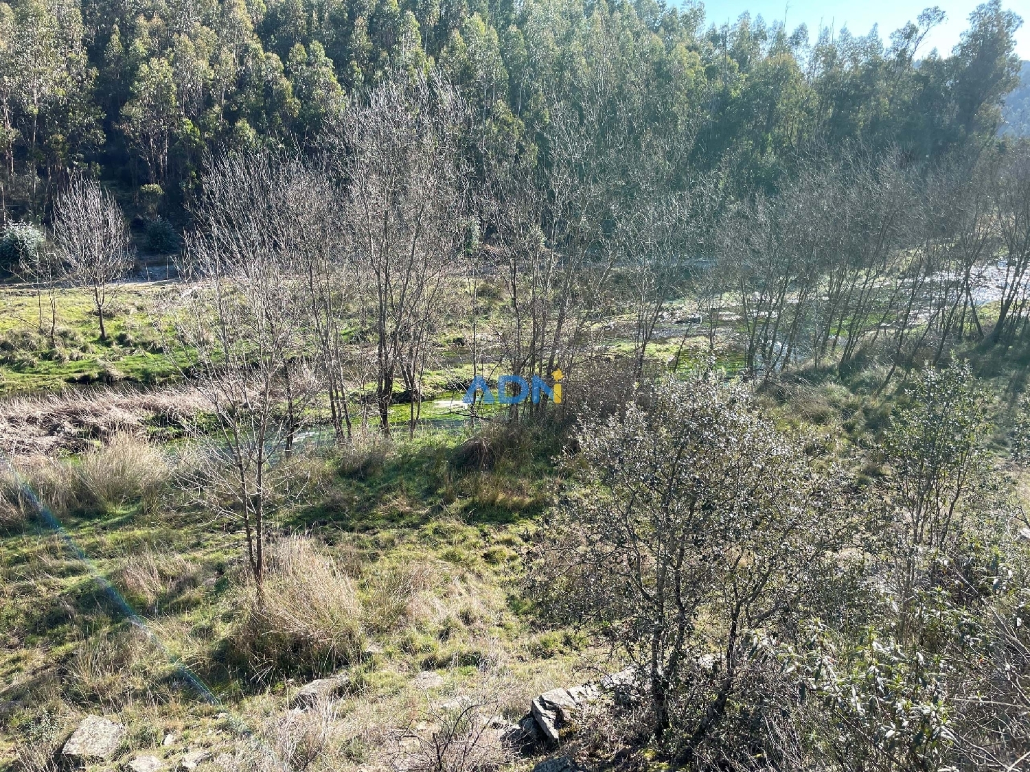  à vendre terrain Castelo Branco Castelo Branco 8