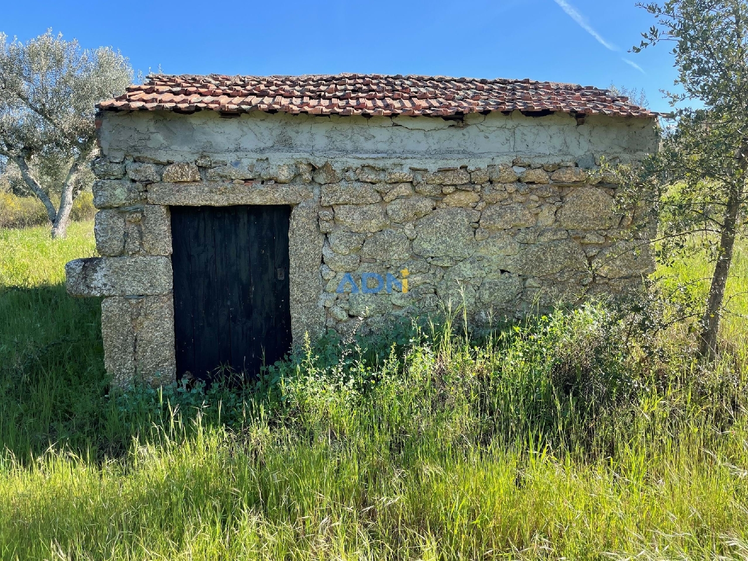  te koop terrein Castelo Branco Castelo Branco 3