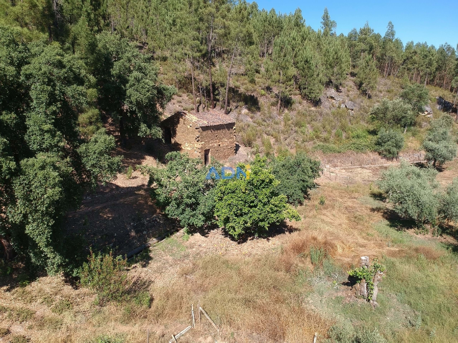 à vendre terrain Castelo Branco Castelo Branco 2