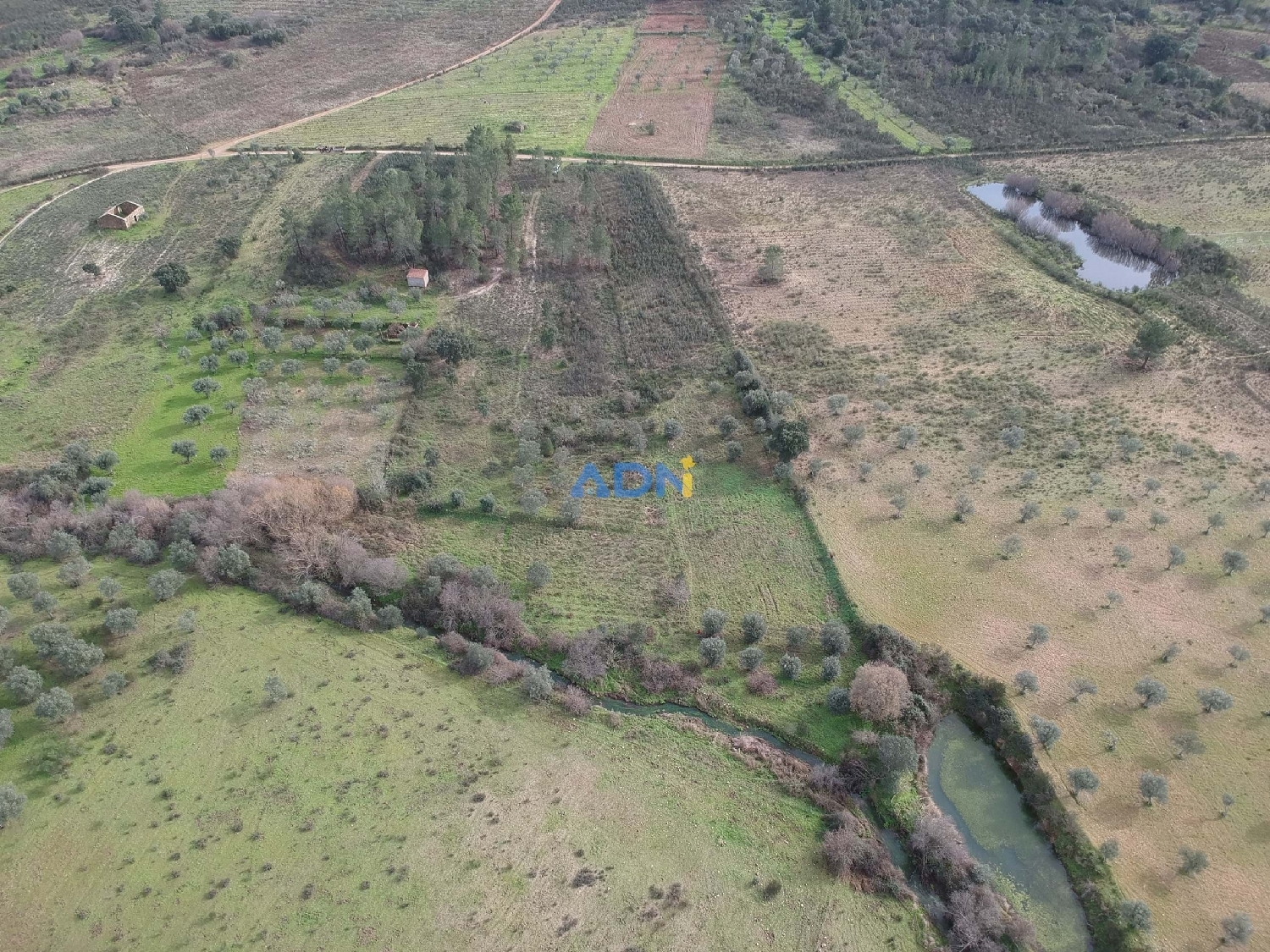  à vendre terrain Castelo Branco Castelo Branco 1