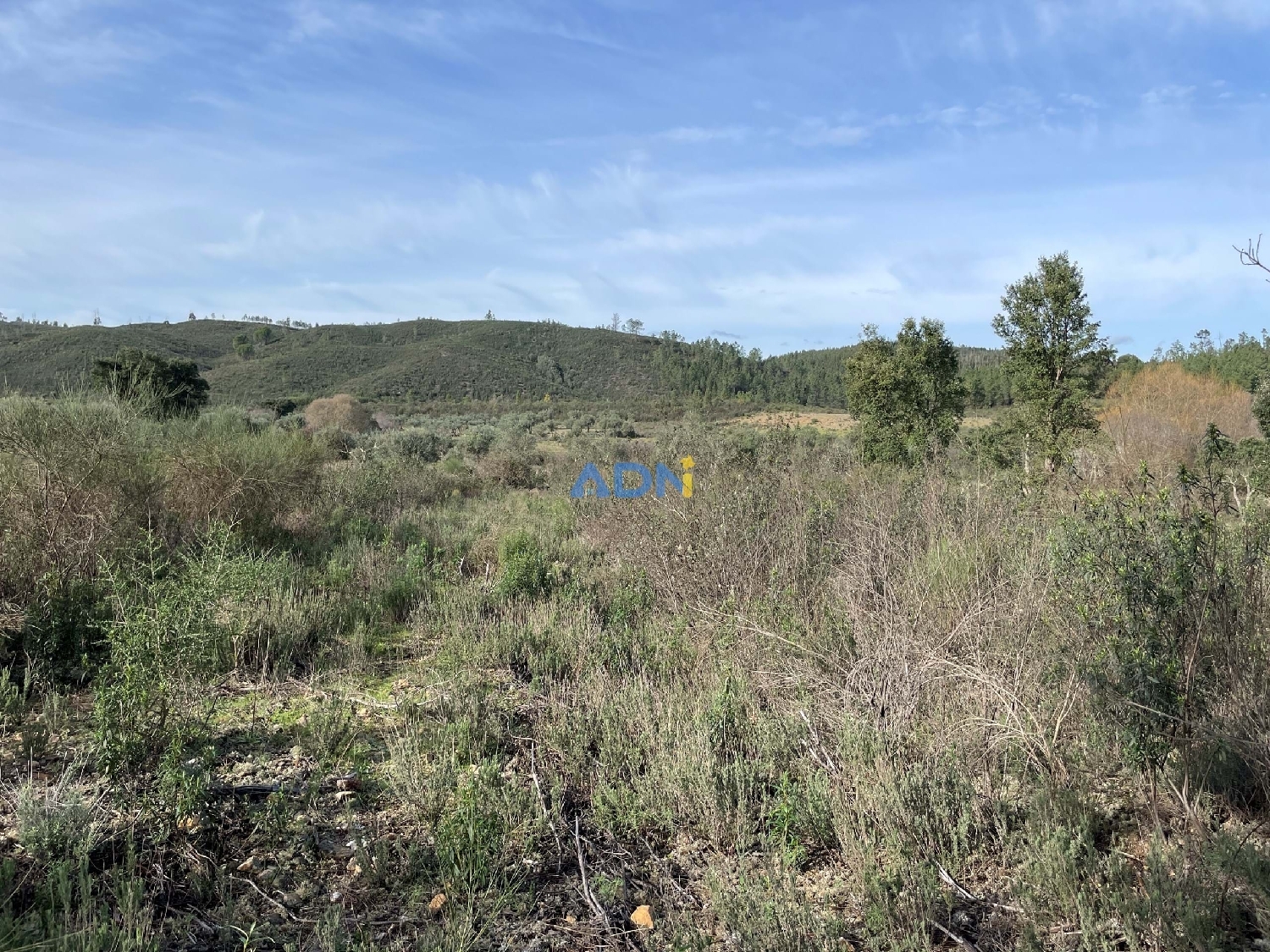  à vendre terrain Castelo Branco Castelo Branco 7