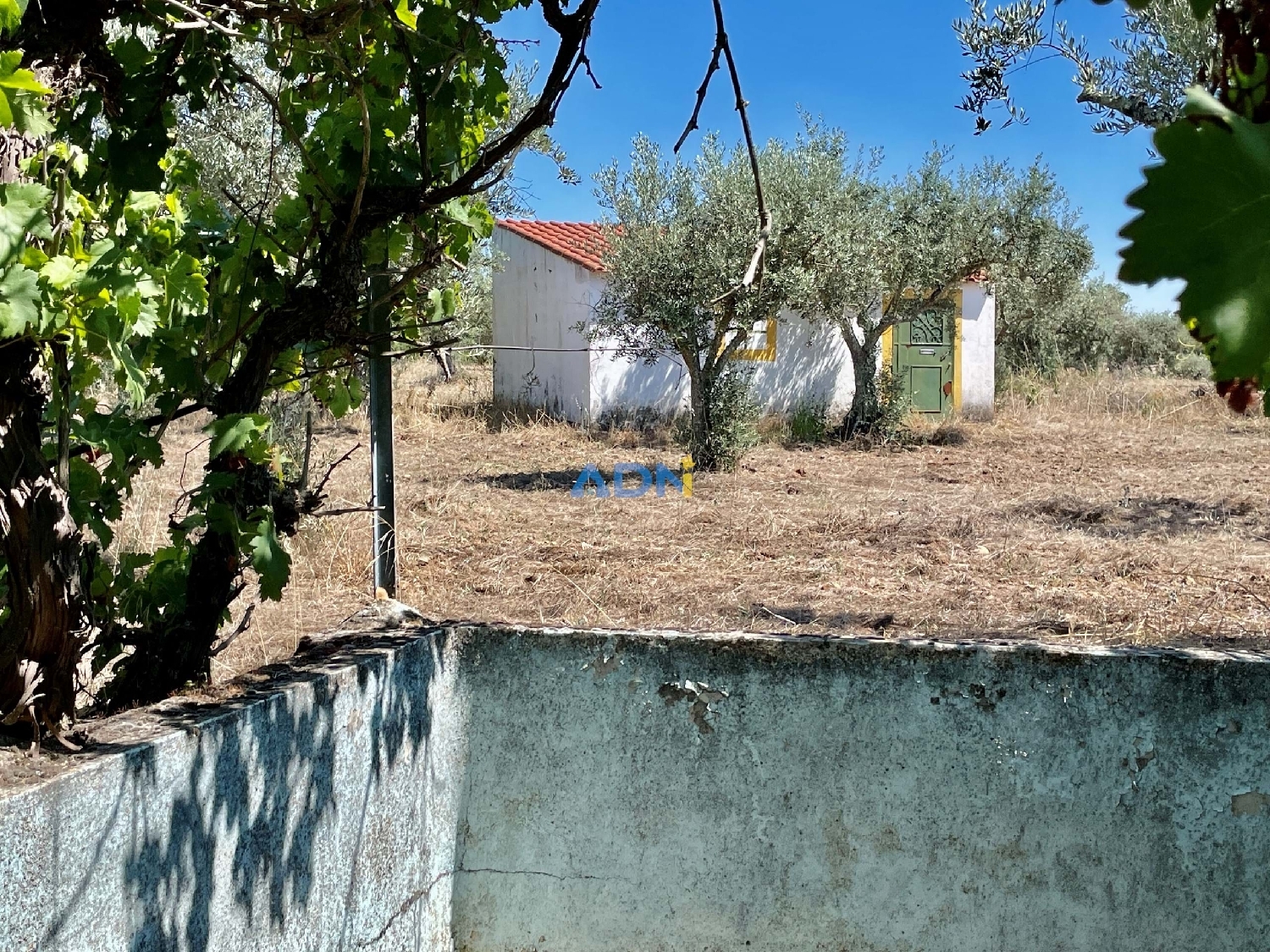  à vendre terrain Castelo Branco Castelo Branco 6