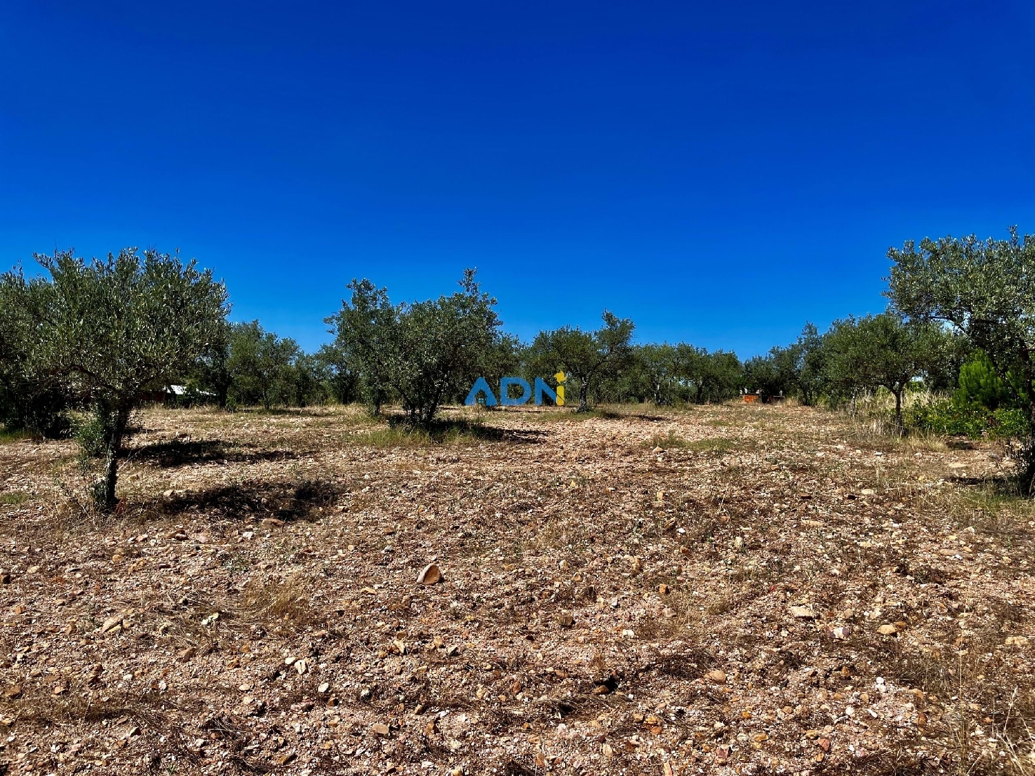  à vendre terrain Castelo Branco Castelo Branco 8
