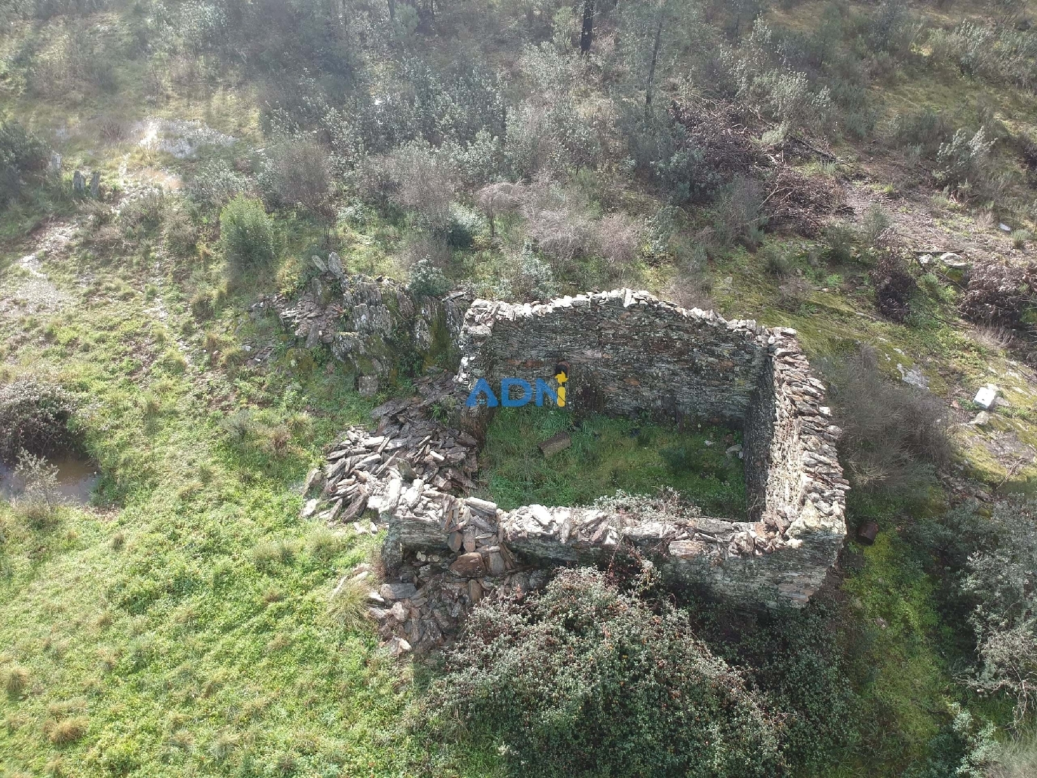  à vendre terrain Castelo Branco Castelo Branco 4