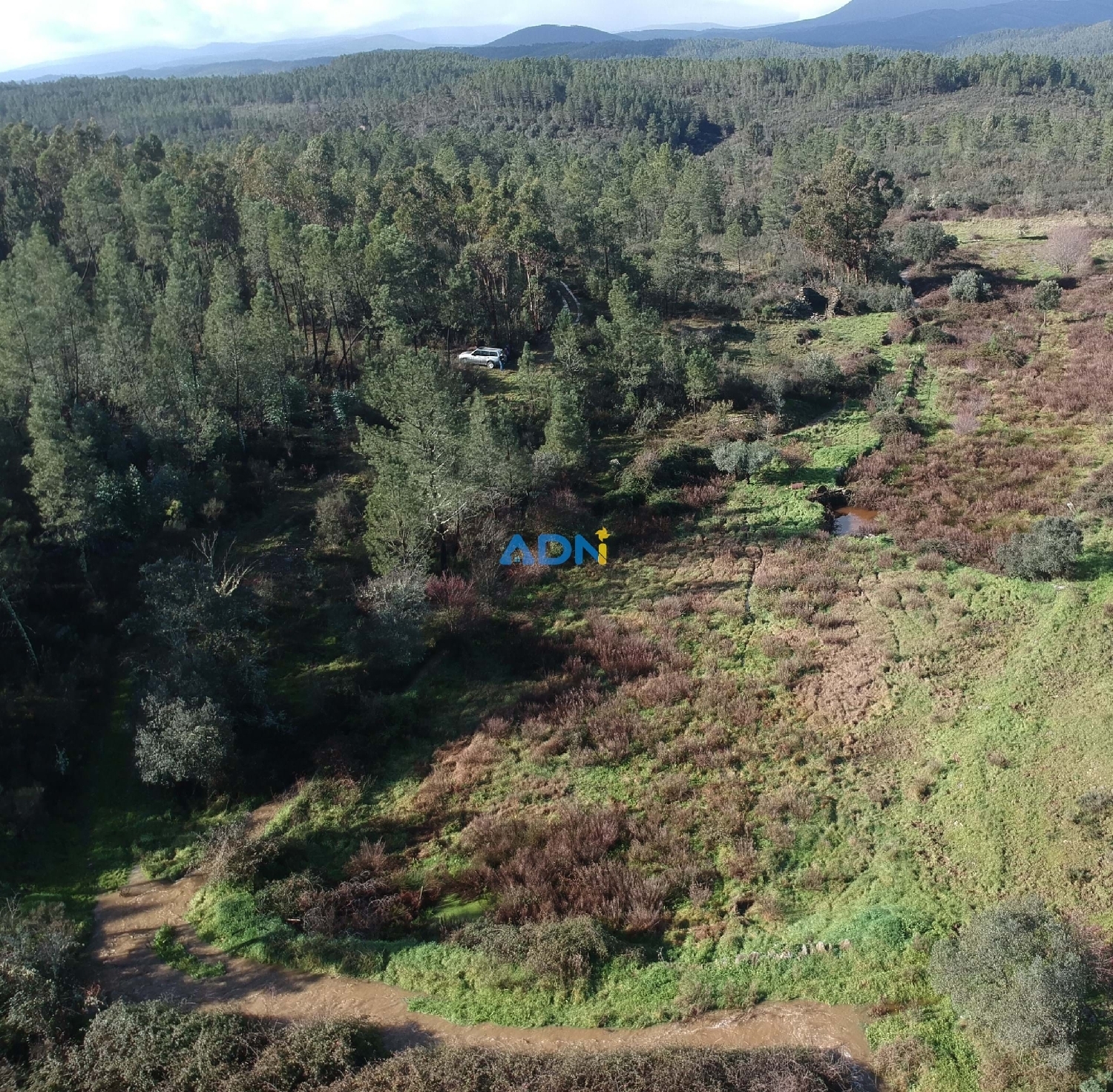  à vendre terrain Castelo Branco Castelo Branco 6