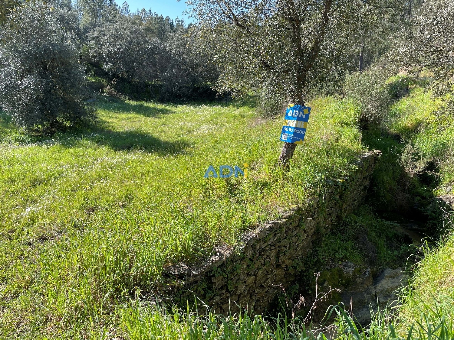  à vendre terrain Castelo Branco Castelo Branco 1