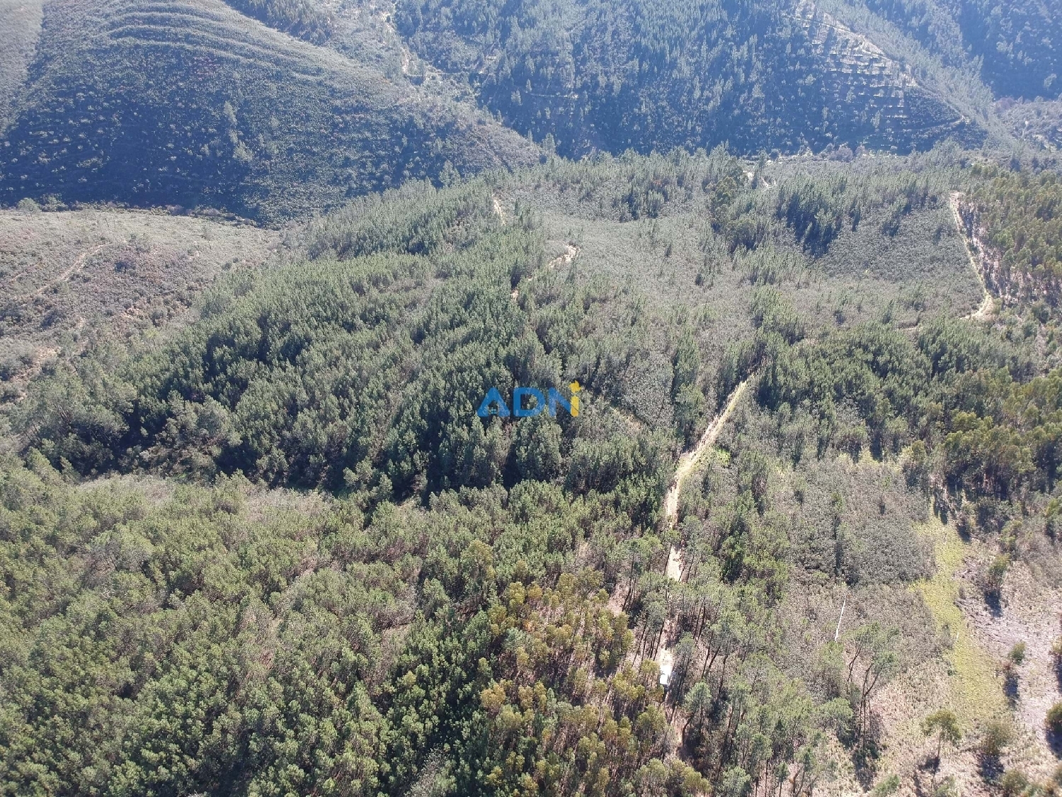  à vendre terrain Castelo Branco Castelo Branco 8