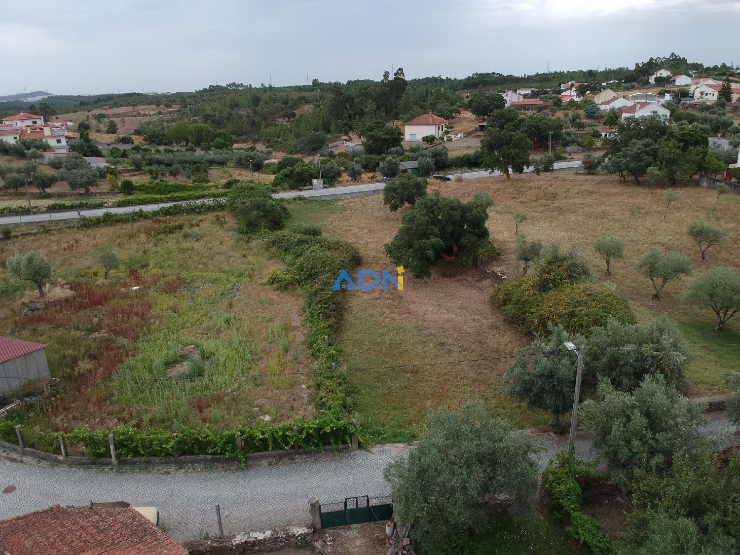  à vendre terrain Castelo Branco Castelo Branco 1