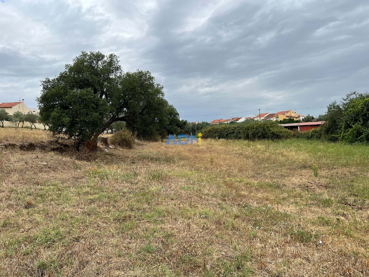  à vendre terrain Castelo Branco Castelo Branco 4