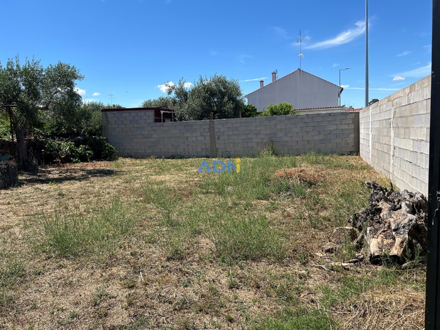  te koop terrein Castelo Branco Castelo Branco 2