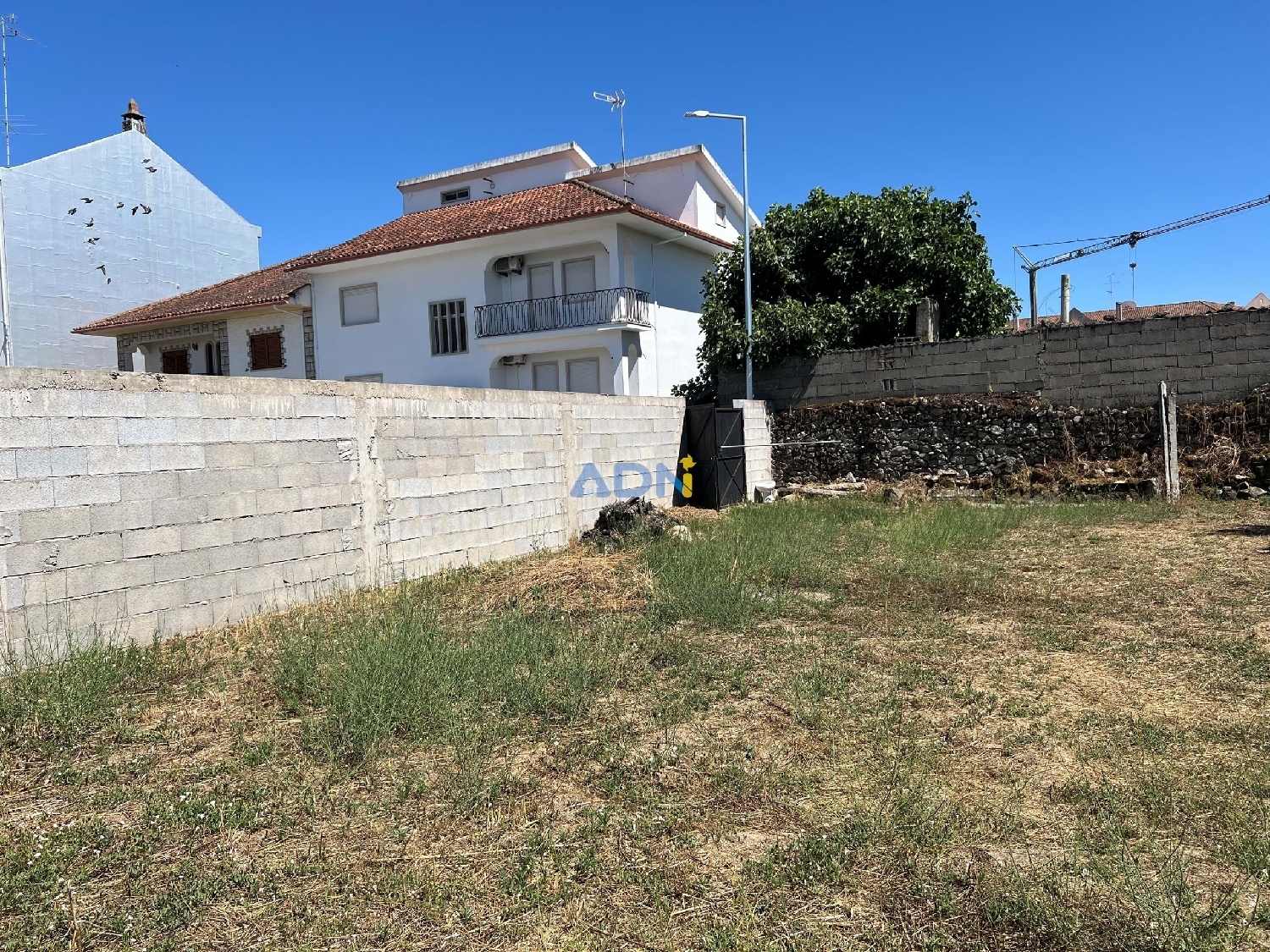  te koop terrein Castelo Branco Castelo Branco 5
