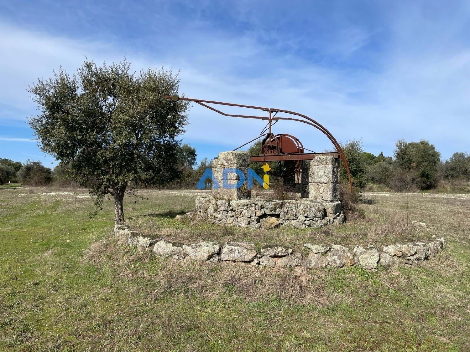  te koop terrein Castelo Branco Castelo Branco 1