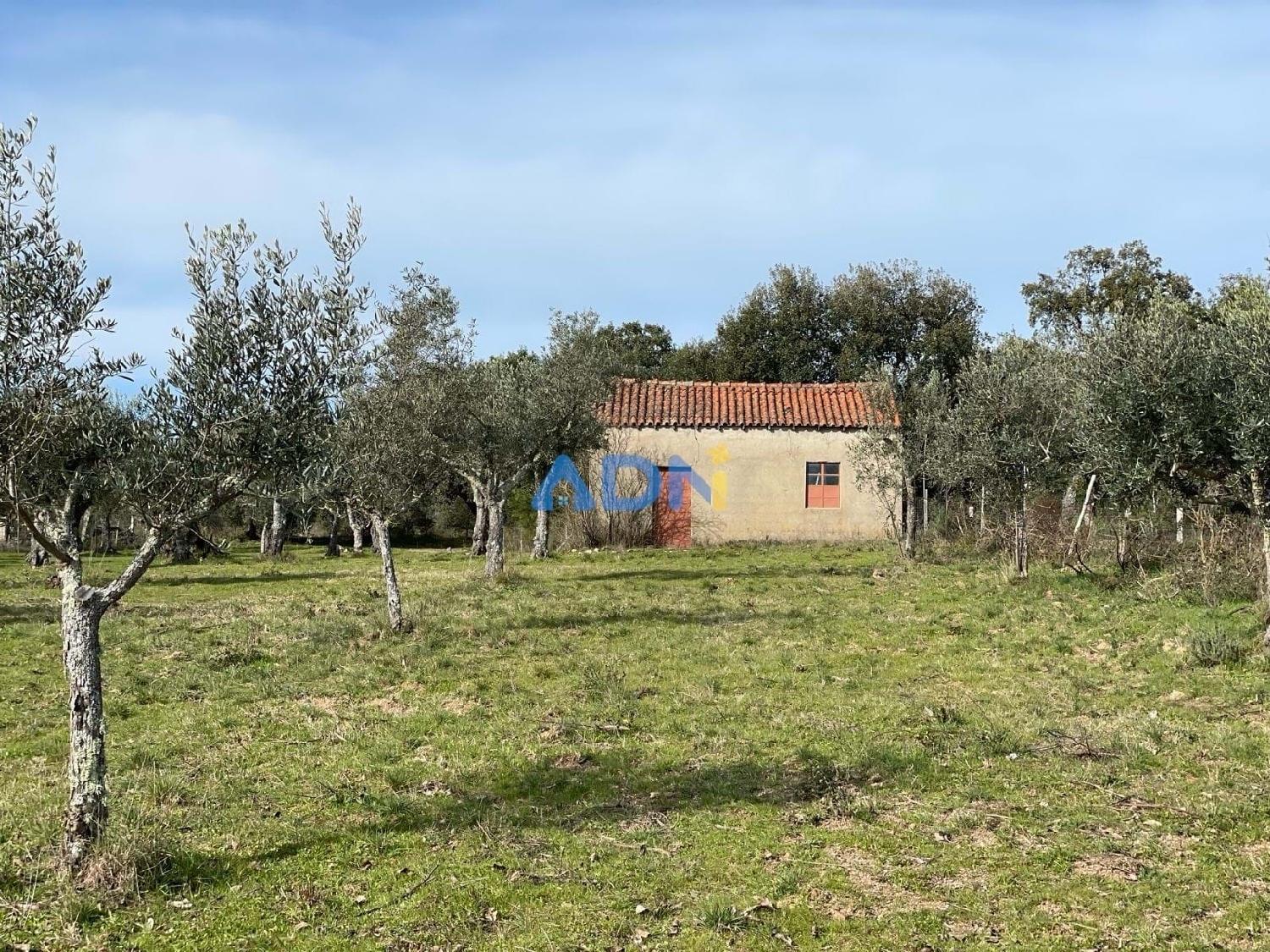  te koop terrein Castelo Branco Castelo Branco 2
