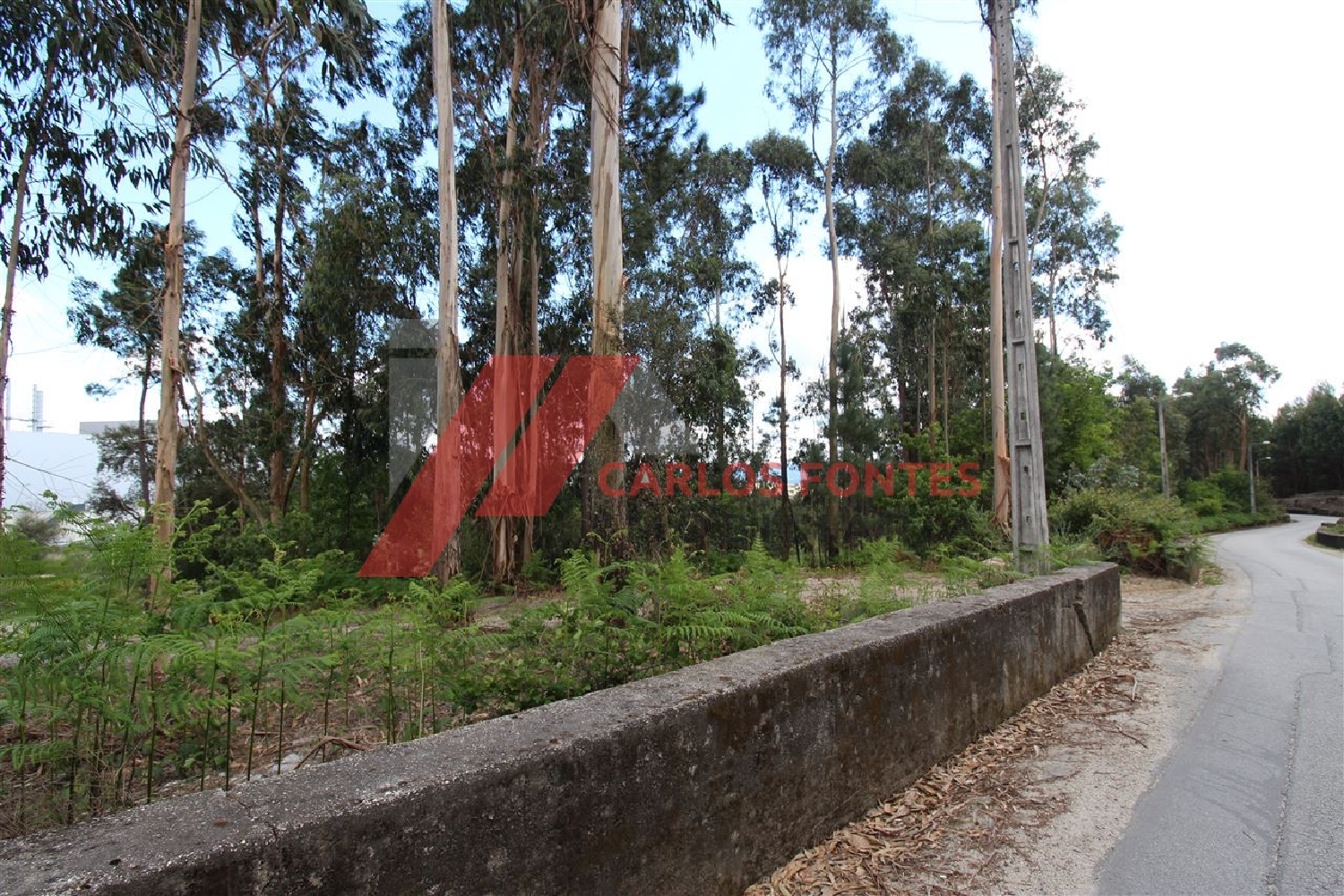  te koop terrein Cruz Cabeceiras De Basto 3