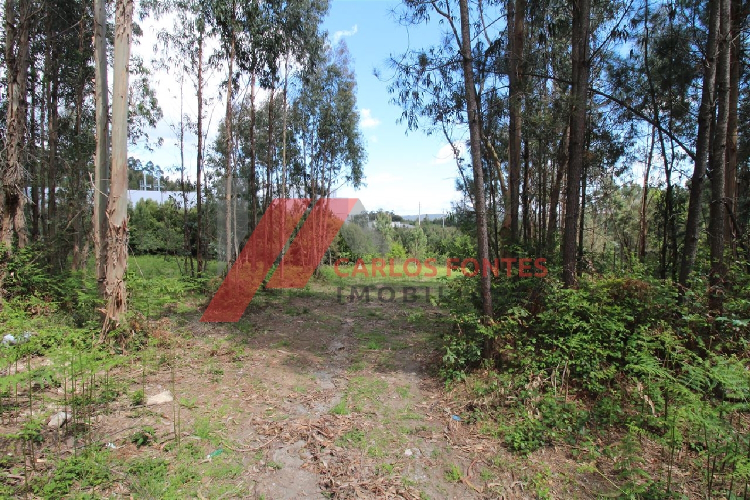  te koop terrein Cruz Cabeceiras De Basto 7